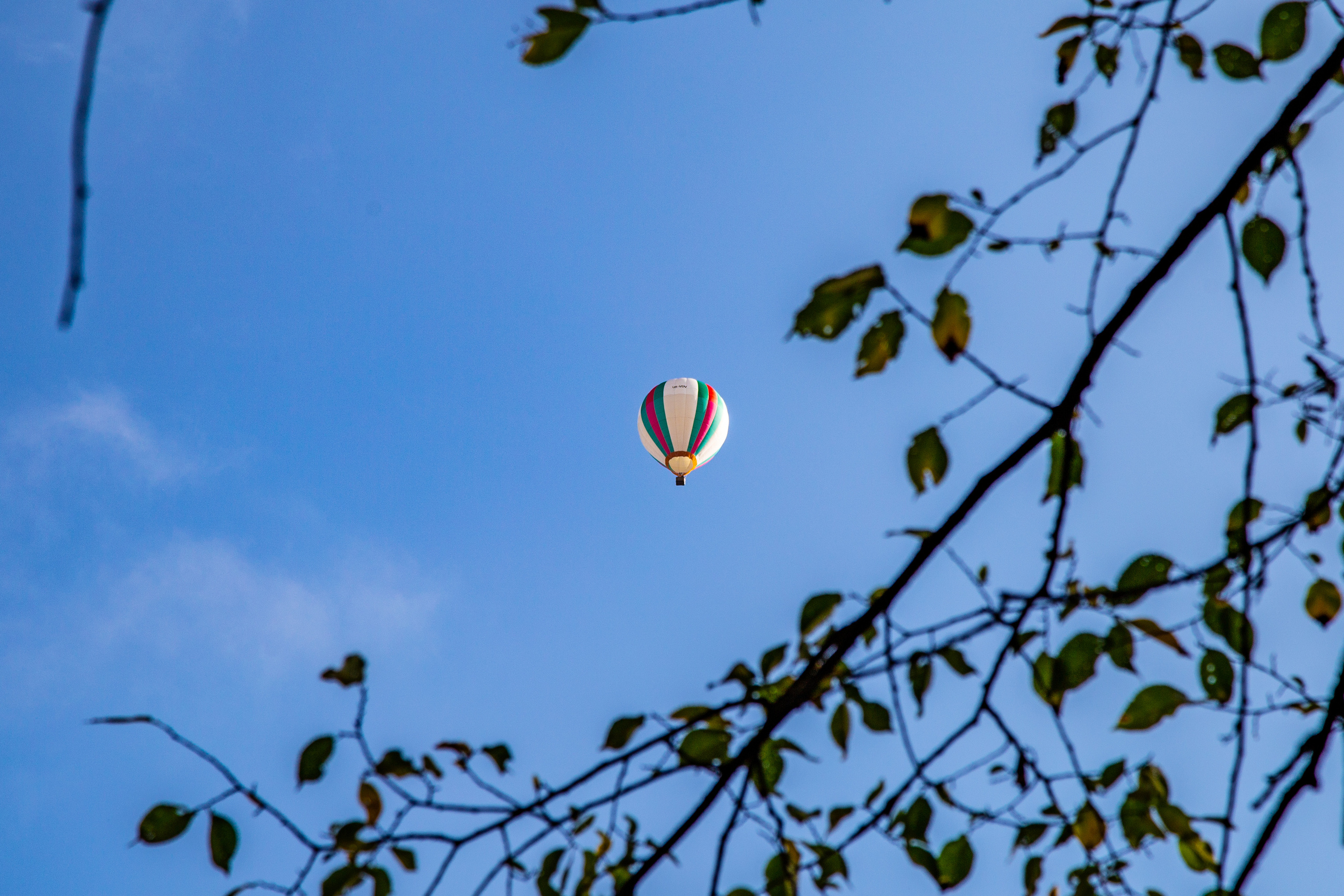 Фотографии Каменец-Подольский. Семейный фотограф Великодолинское