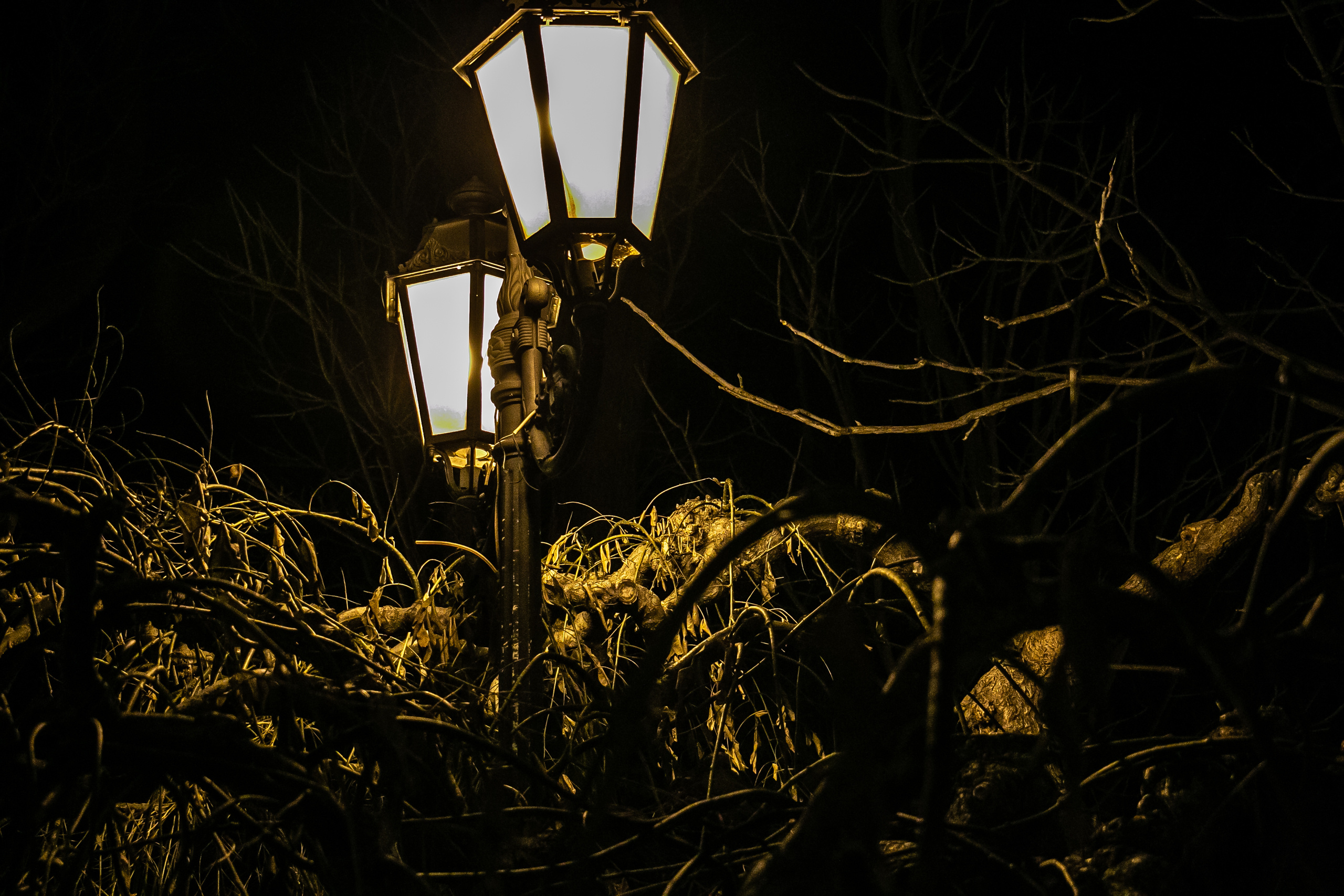 Вечерняя Одесса, фотографии города. Семейный фотограф Великодолинское