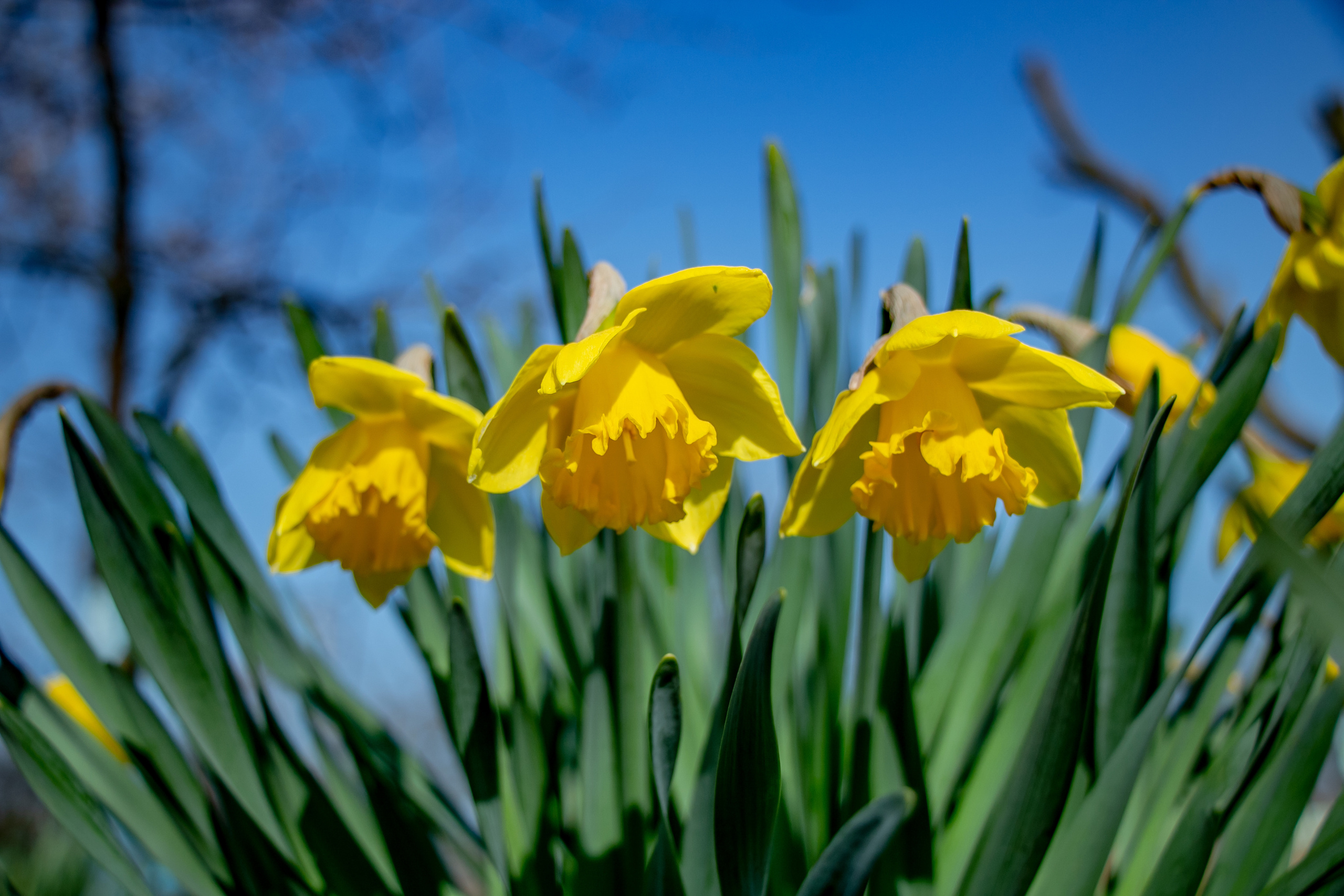 До обработки. После обработки фото. Семейный фотограф Великодолинское