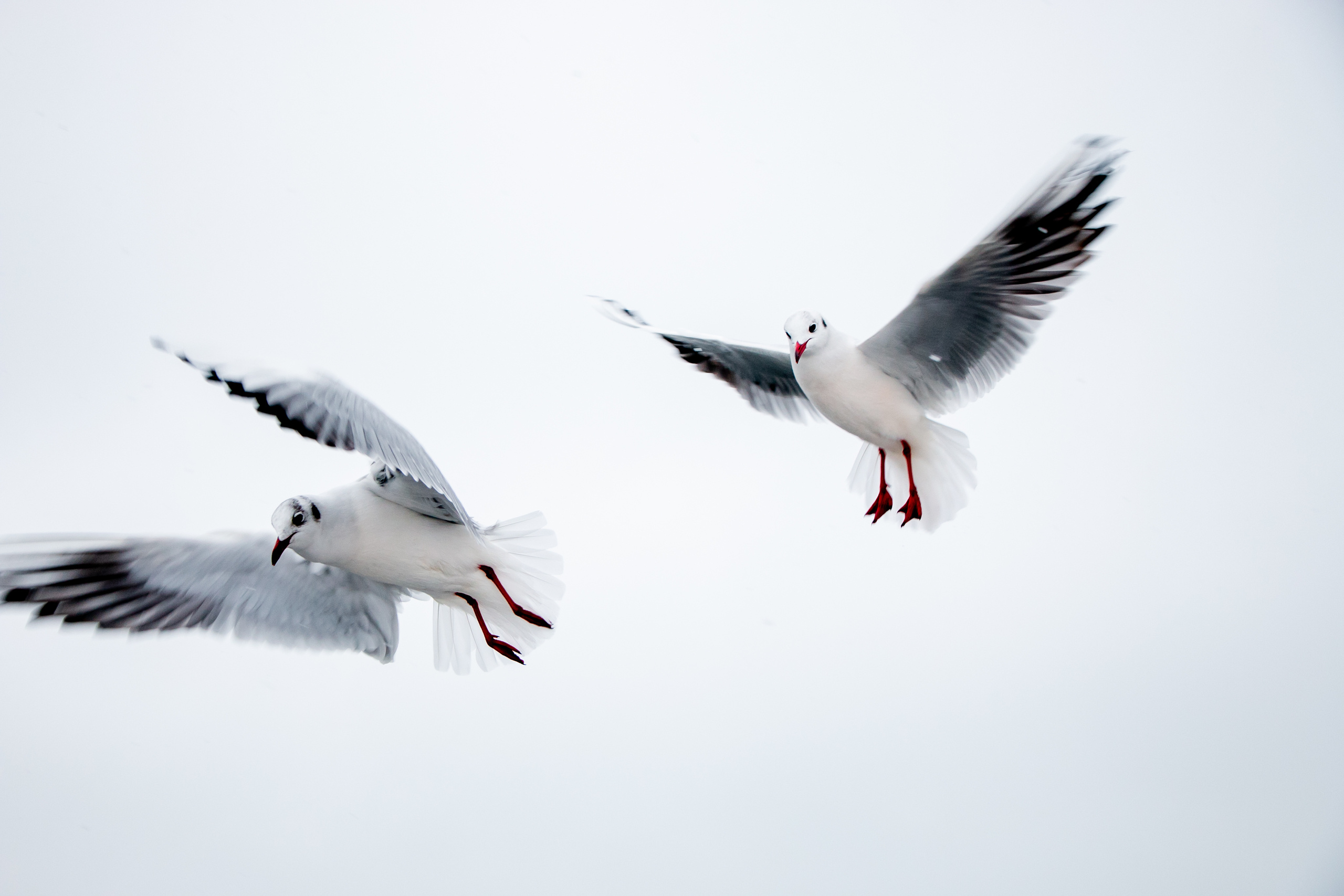 Паромная переправа. Семейный фотограф Великодолинское