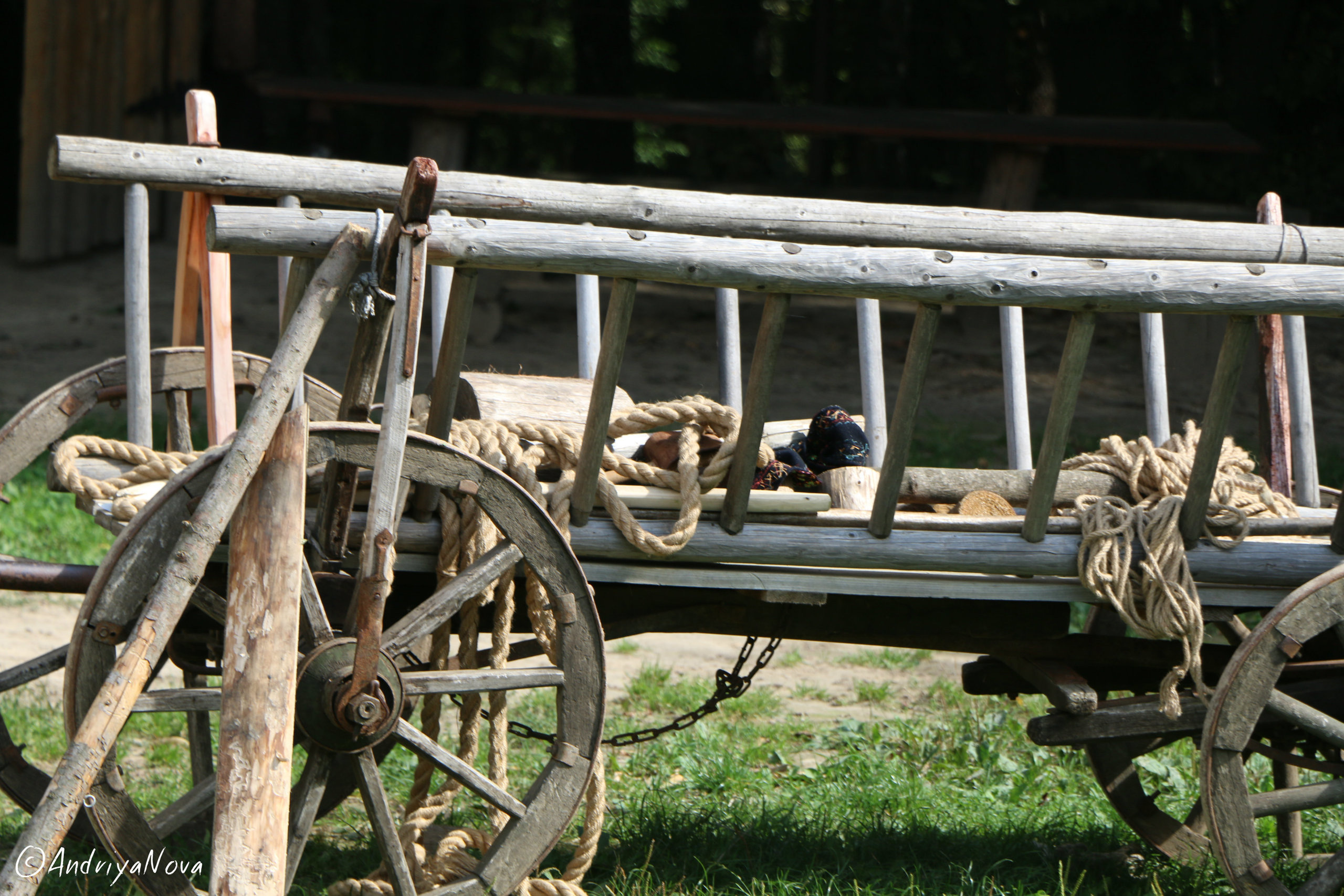 Львов моими глазами. Семейный фотограф Великодолинское