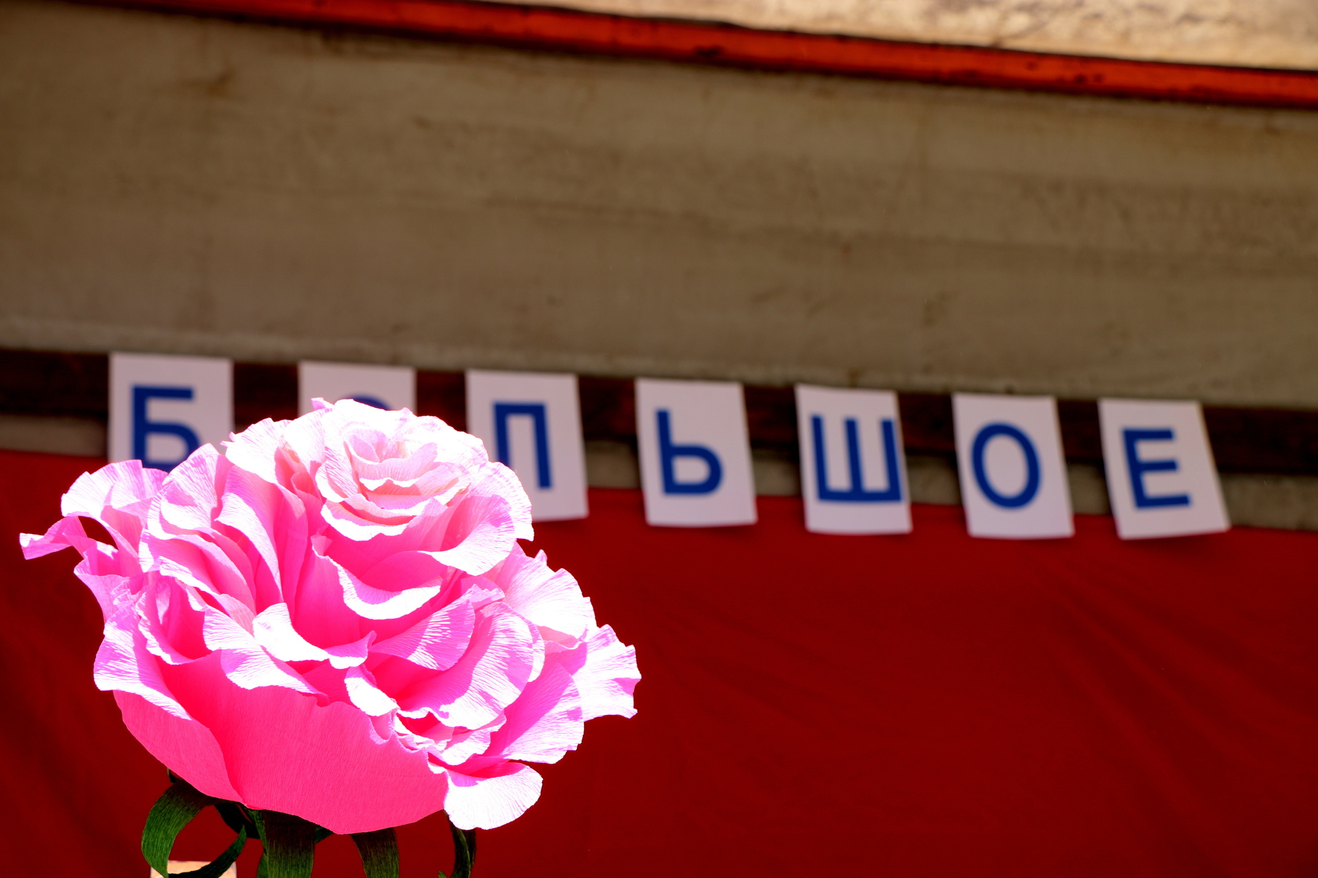 Большое сердце Большой Долины. Семейный фотограф Великодолинское