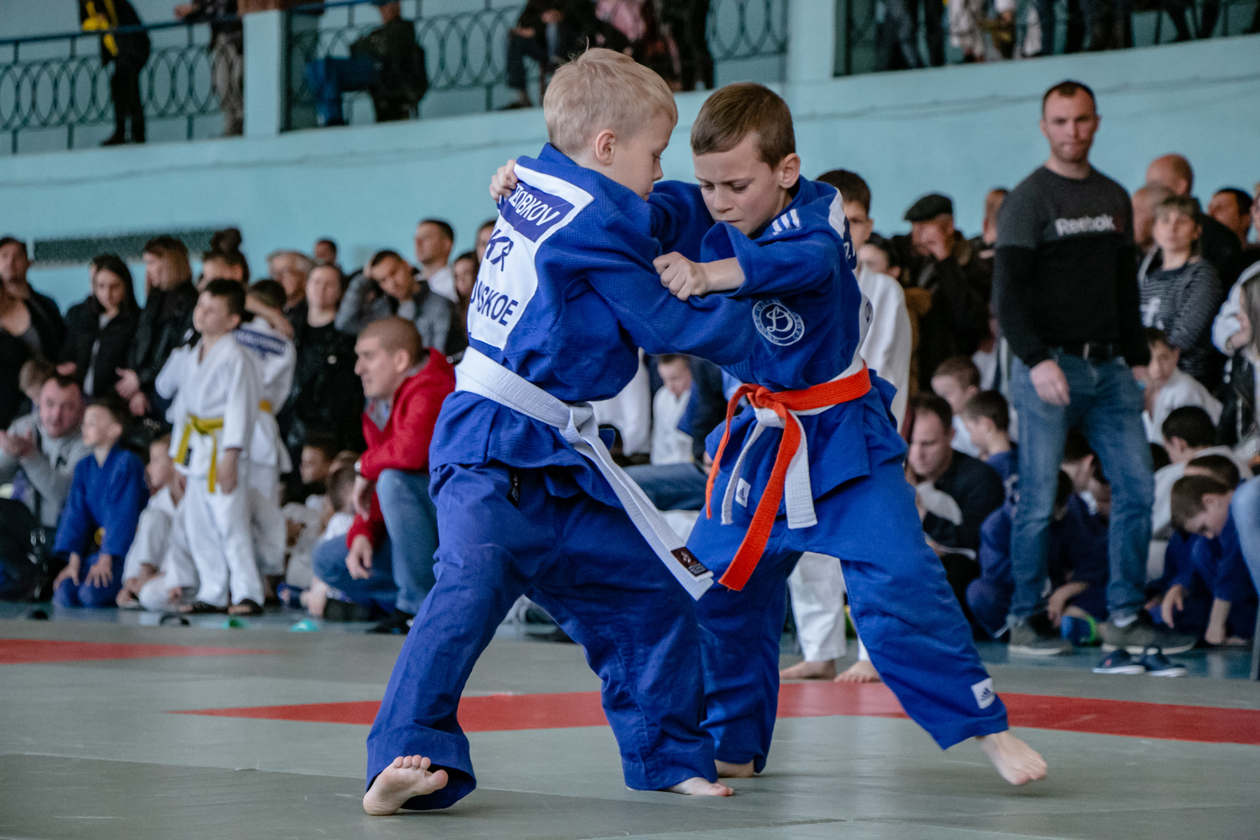 Дзюдо. Спортивный репортаж. Семейный фотограф Великодолинское