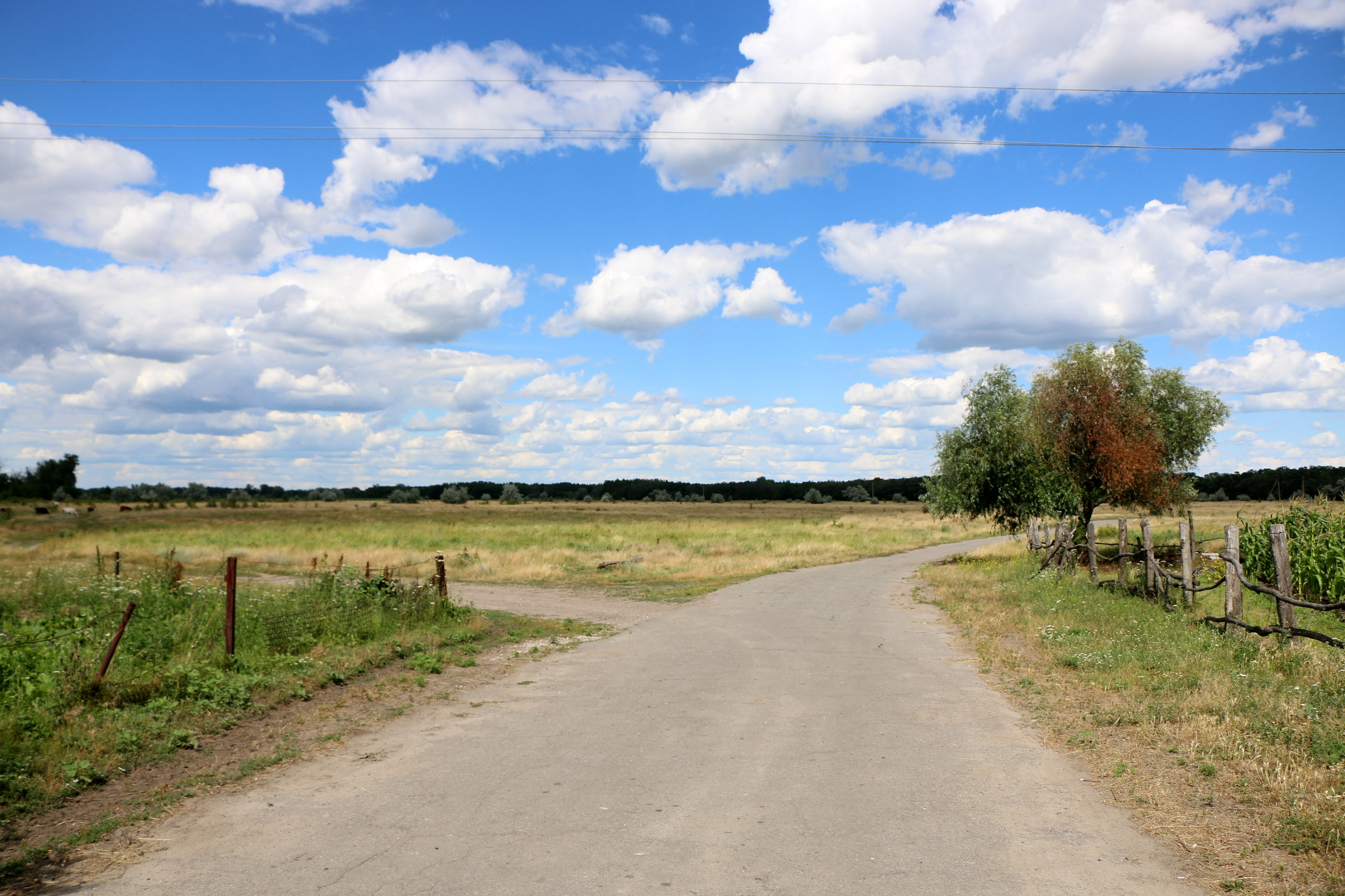 Деревенские мотивы, фото. Семейный фотограф Великодолинское