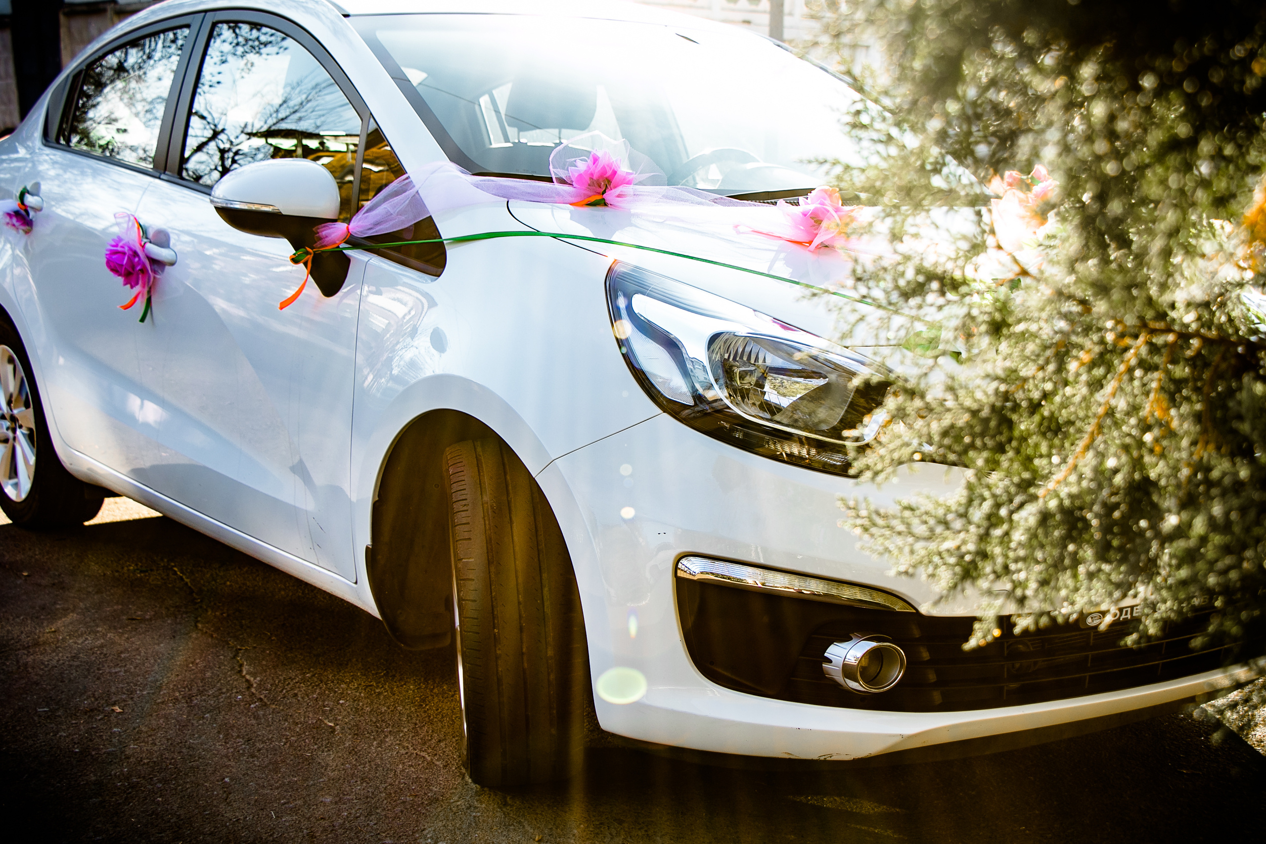 Свадебные фотографии. Семейный фотограф Великодолинское