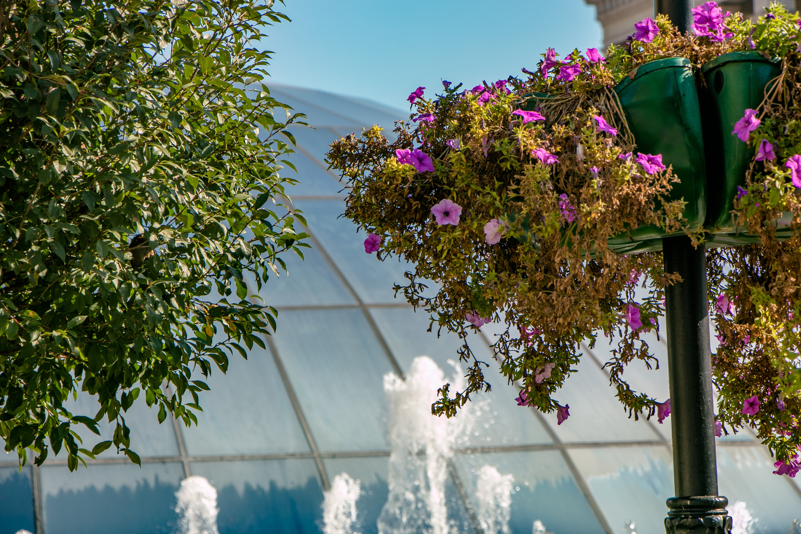 Киев фотографии города. Семейный фотограф Великодолинское