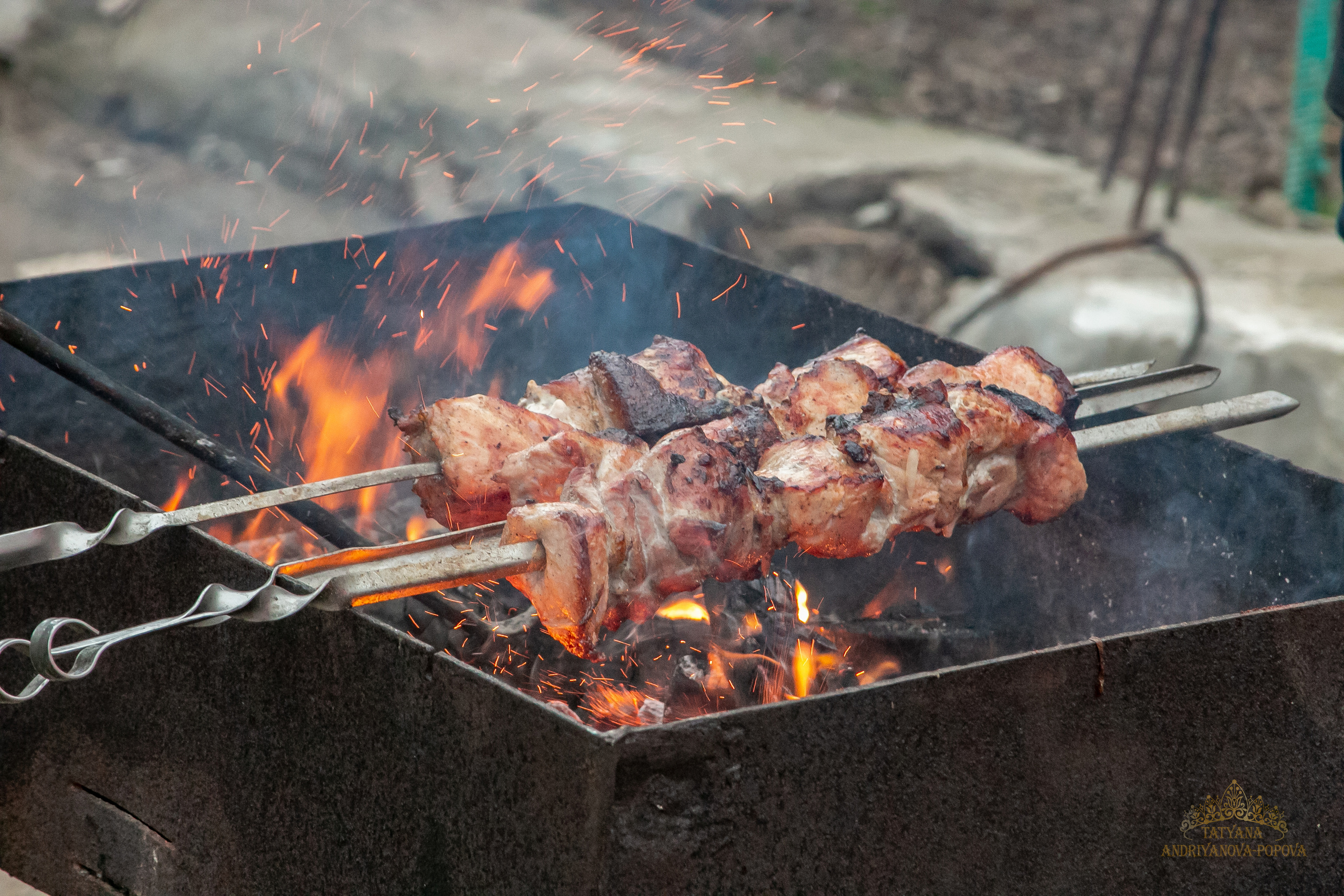 Масленица Великодолинское. Семейный фотограф Великодолинское