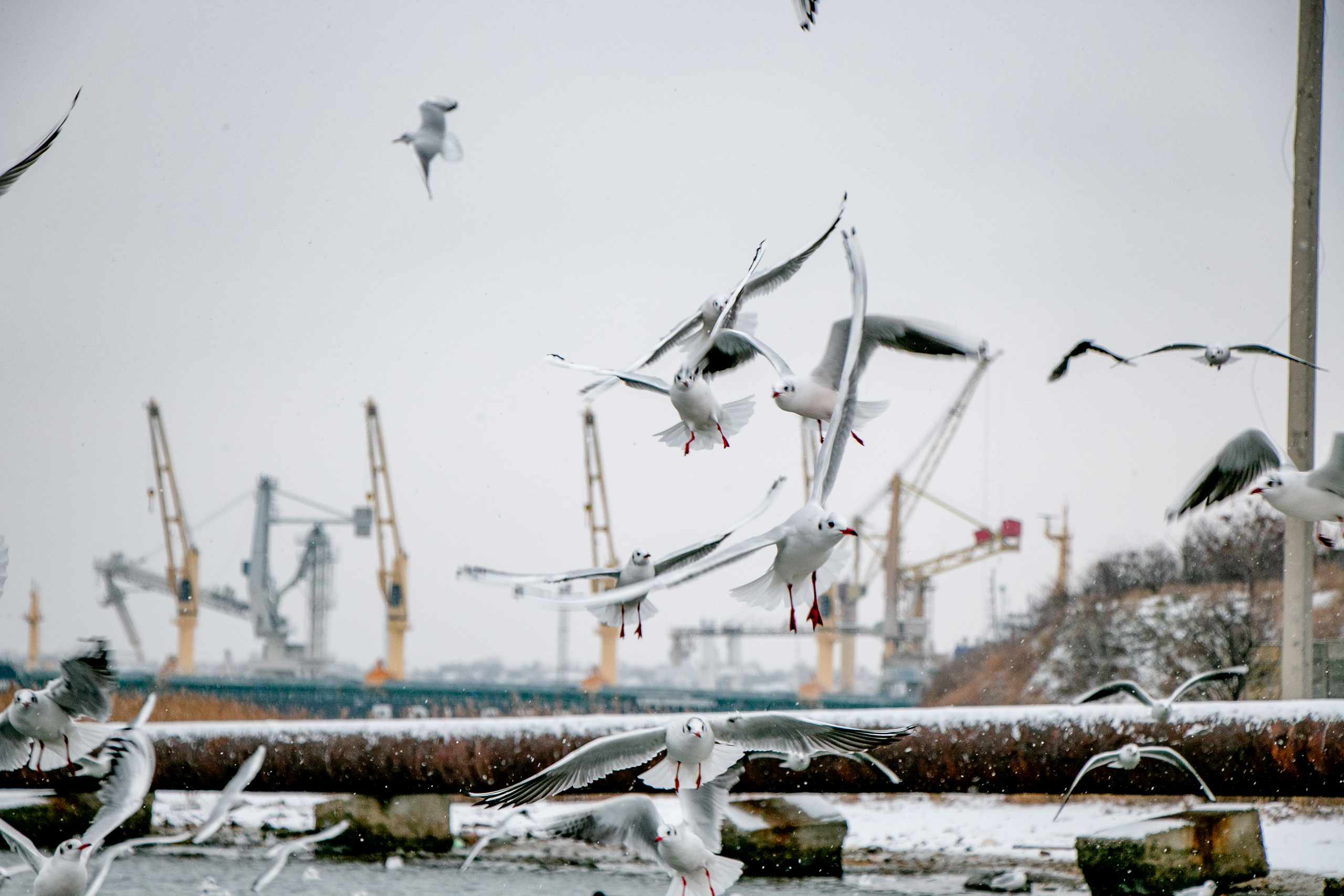 Паромная переправа. Семейный фотограф Великодолинское