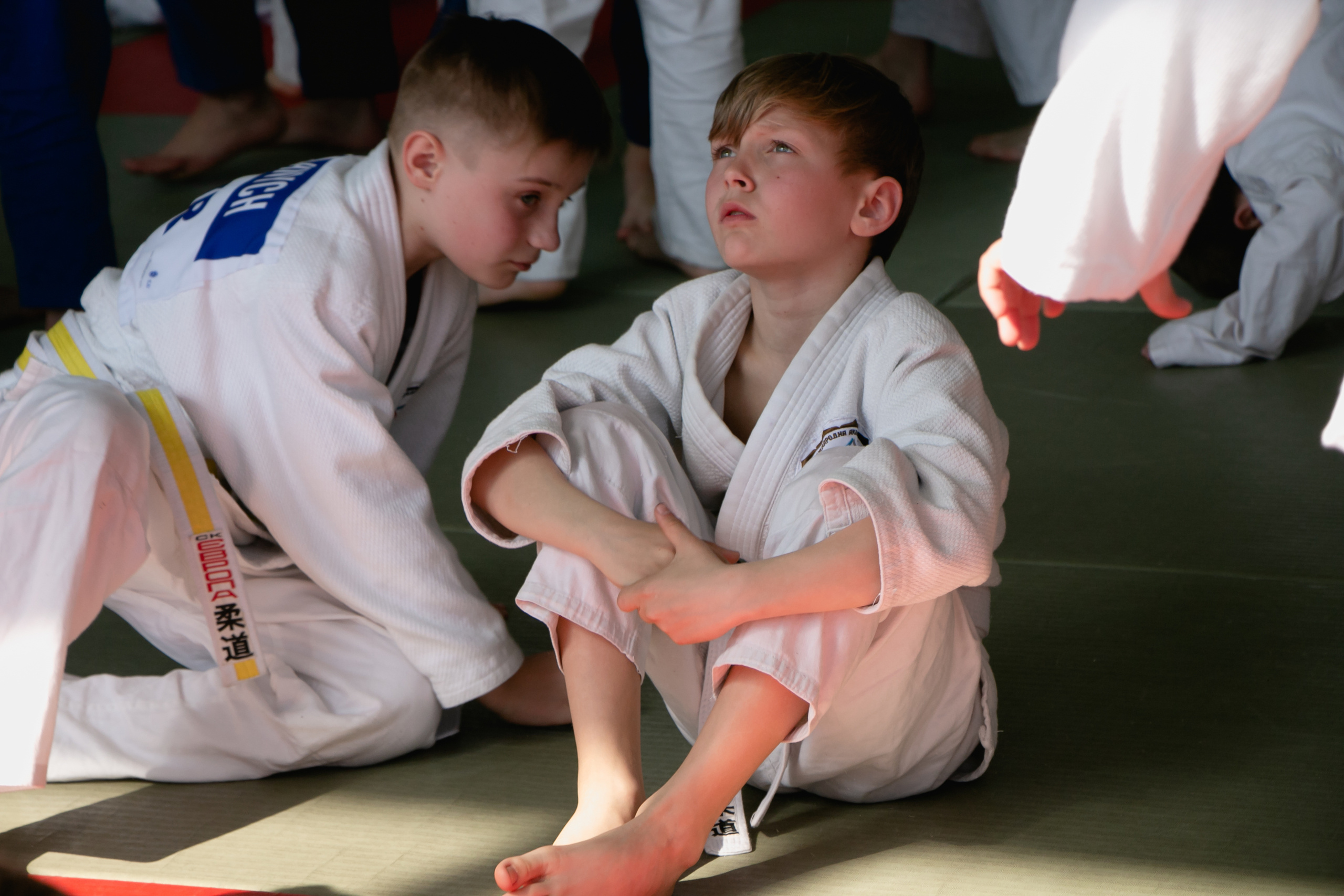 Дзюдо. Спортивный репортаж. Семейный фотограф Великодолинское