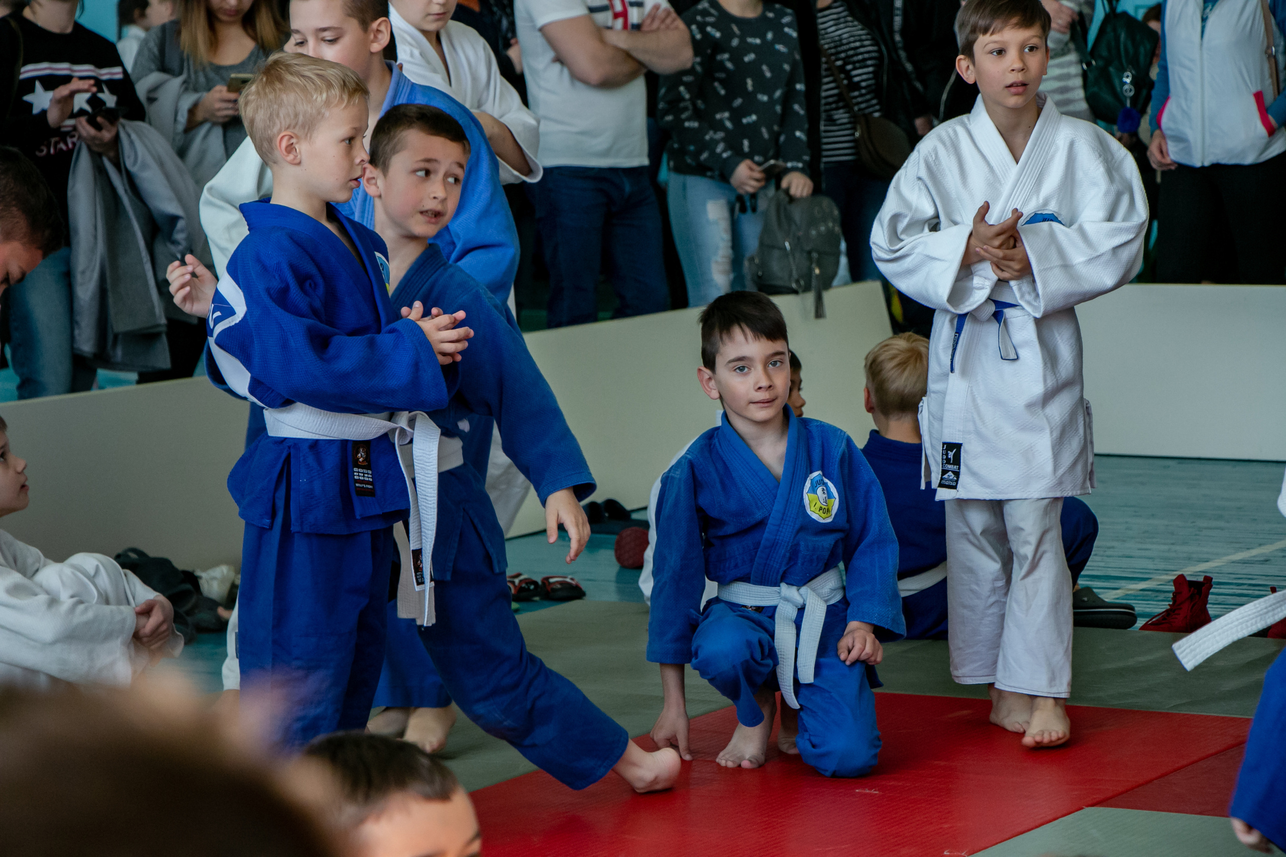Дзюдо. Спортивный репортаж. Семейный фотограф Великодолинское