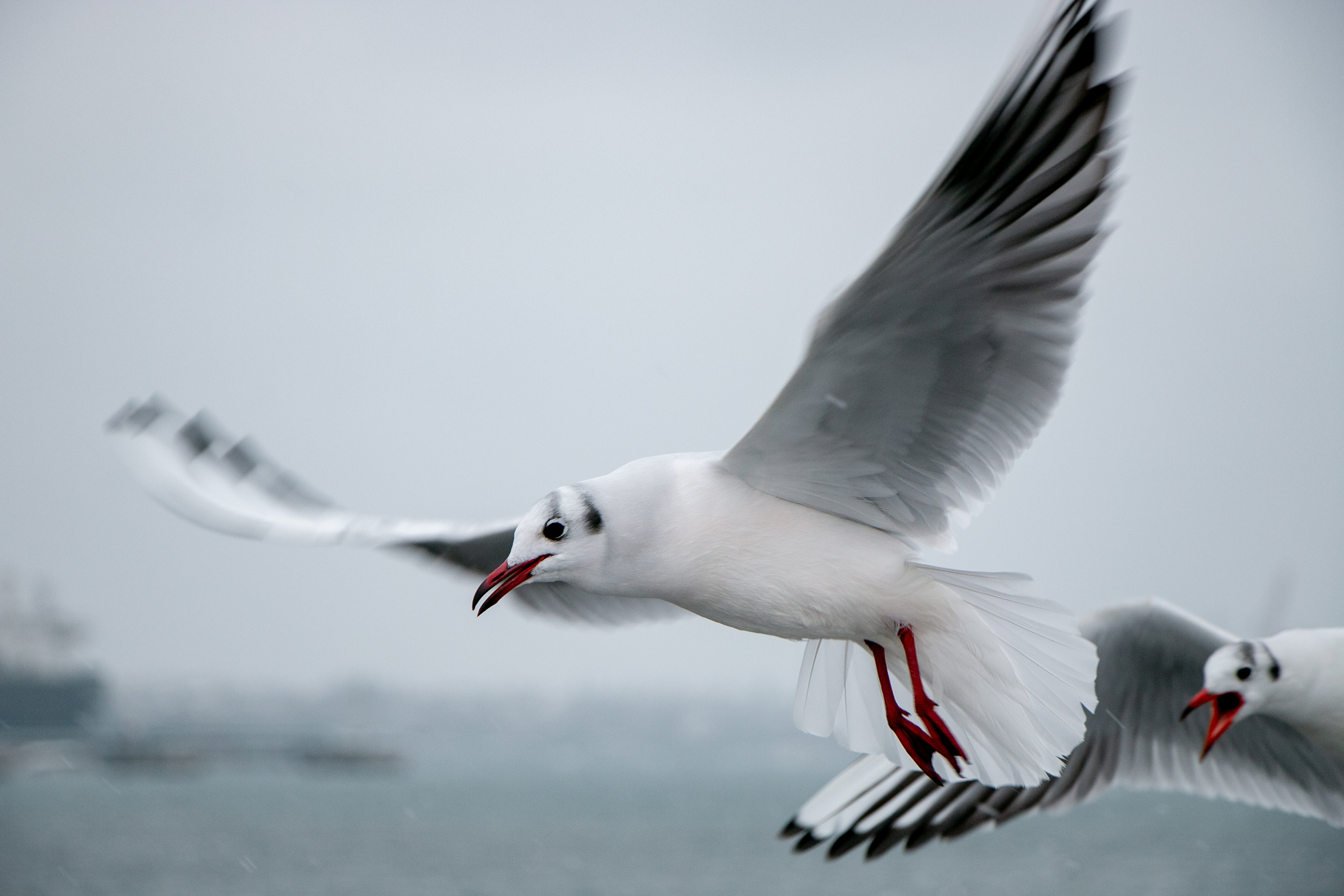 Паромная переправа. Семейный фотограф Великодолинское