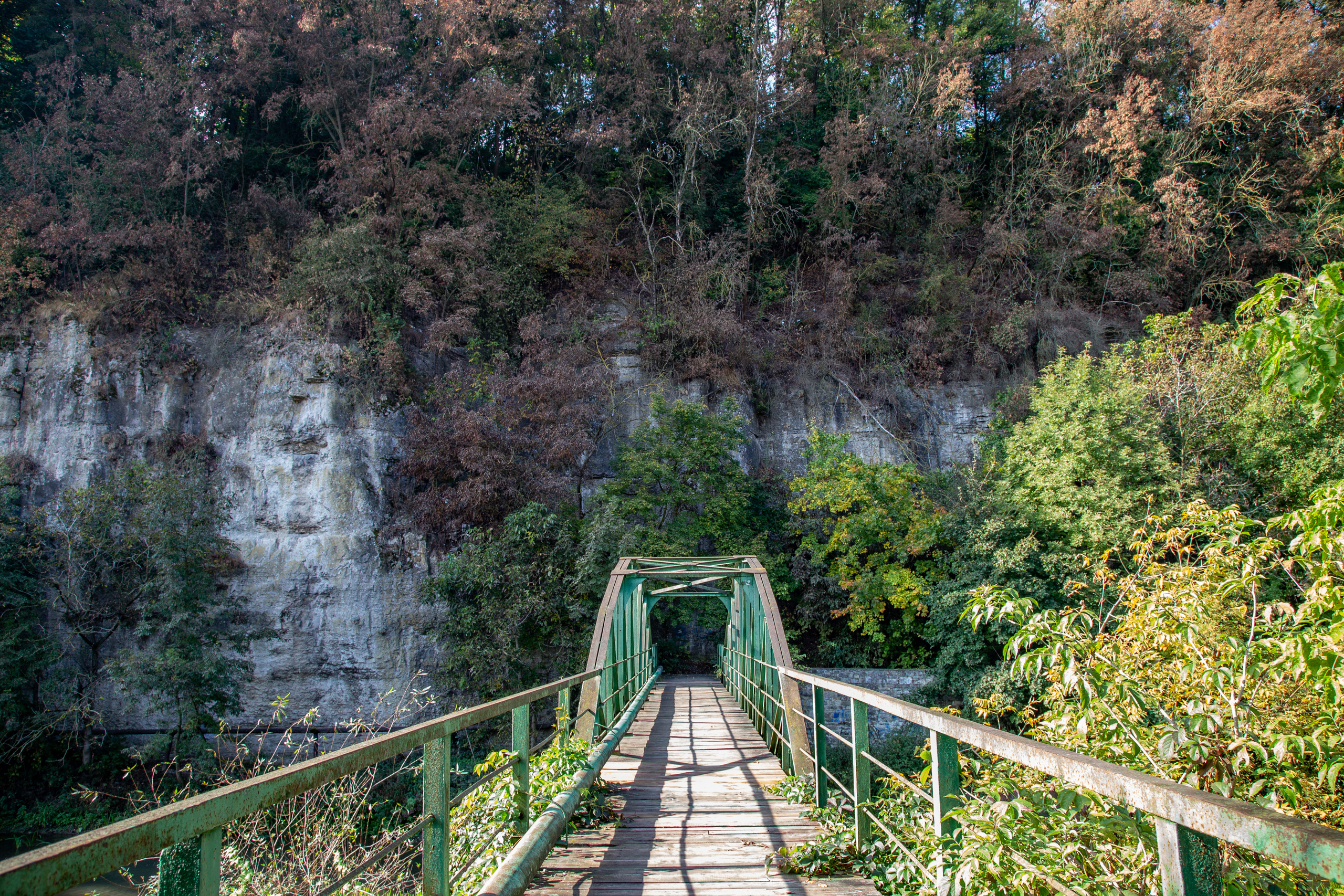 Фотографии Каменец-Подольский. Семейный фотограф Великодолинское