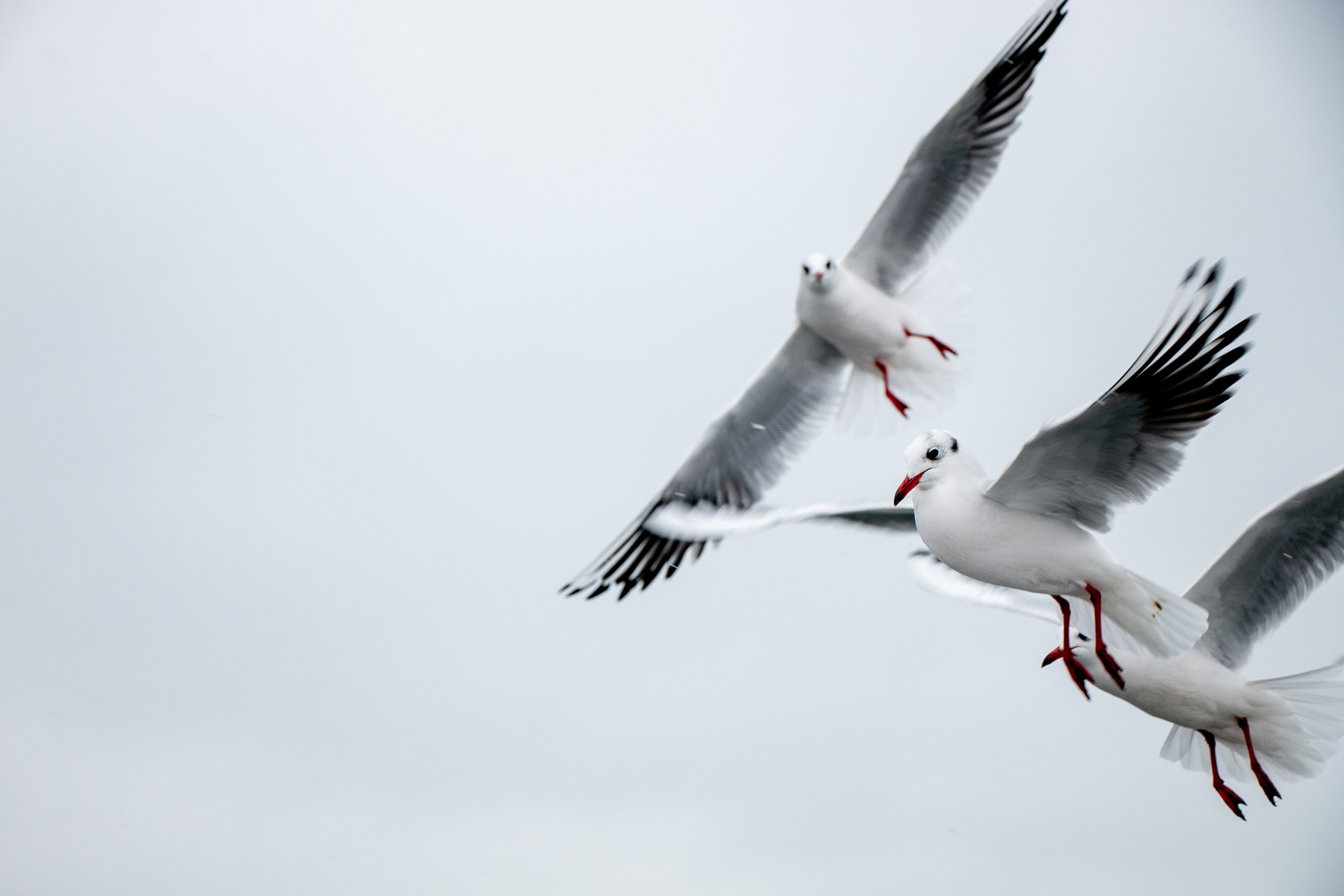 Паромная переправа. Семейный фотограф Великодолинское
