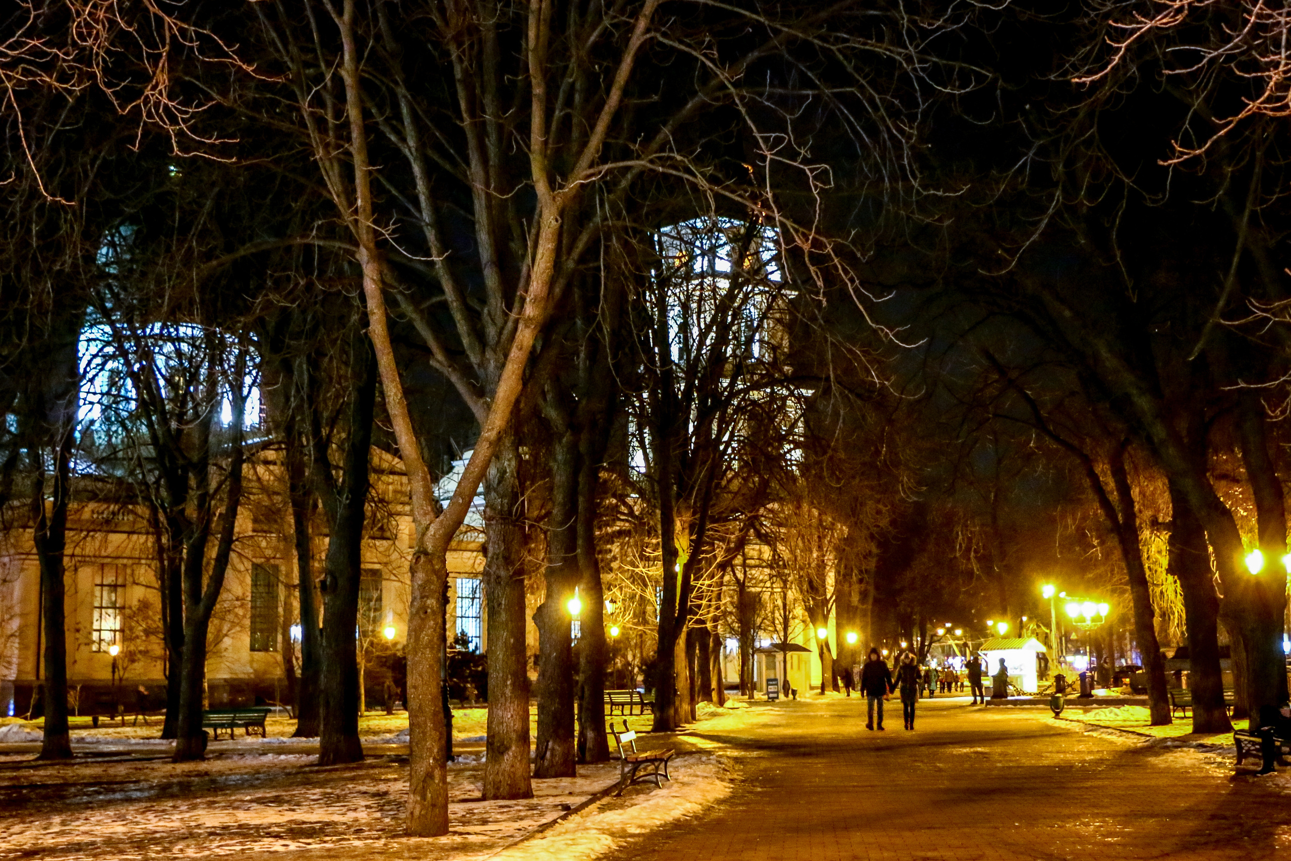 Вечерняя Одесса, фотографии города. Семейный фотограф Великодолинское