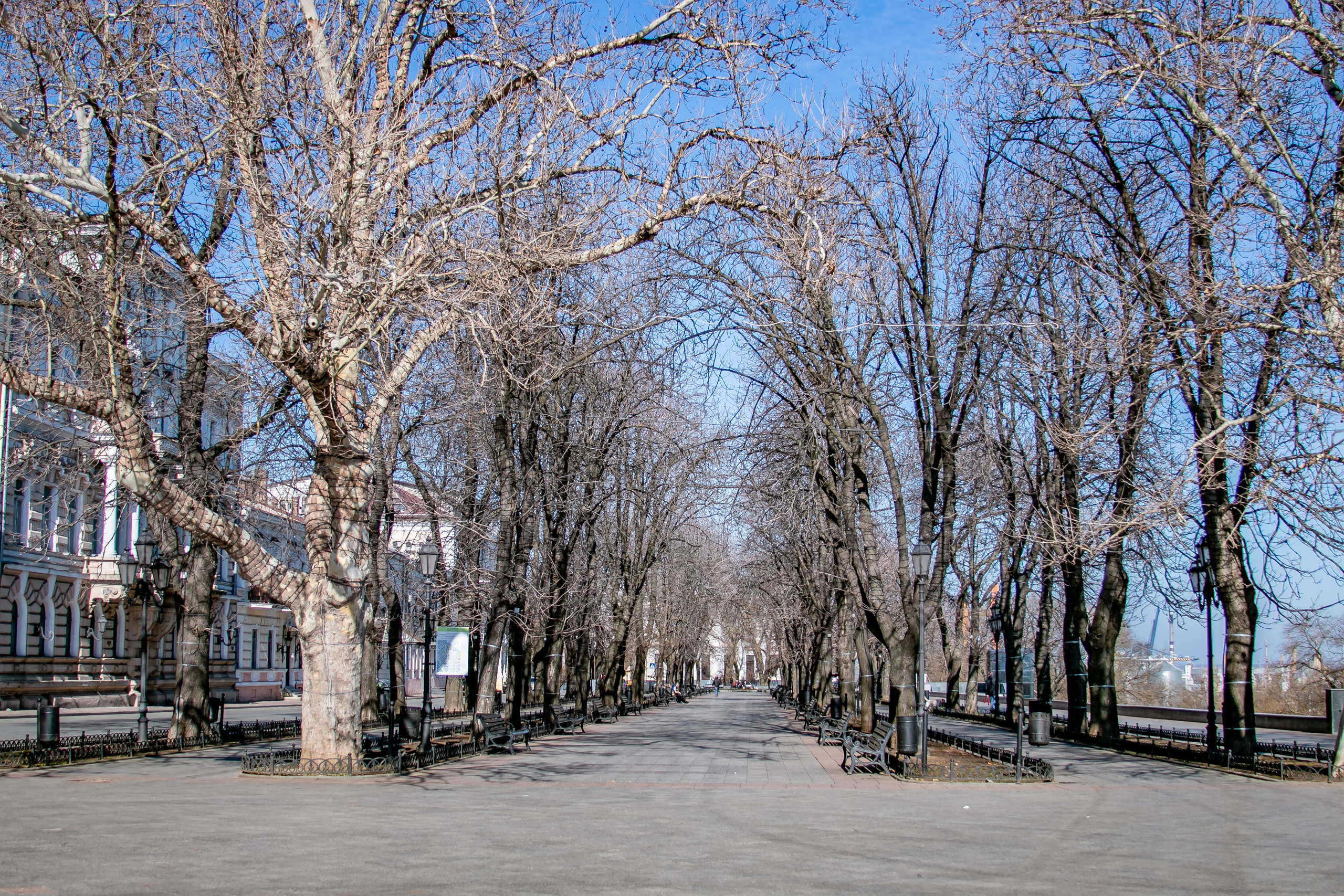 Ах, Одесса! Новые фотографии города. Семейный фотограф Великодолинское