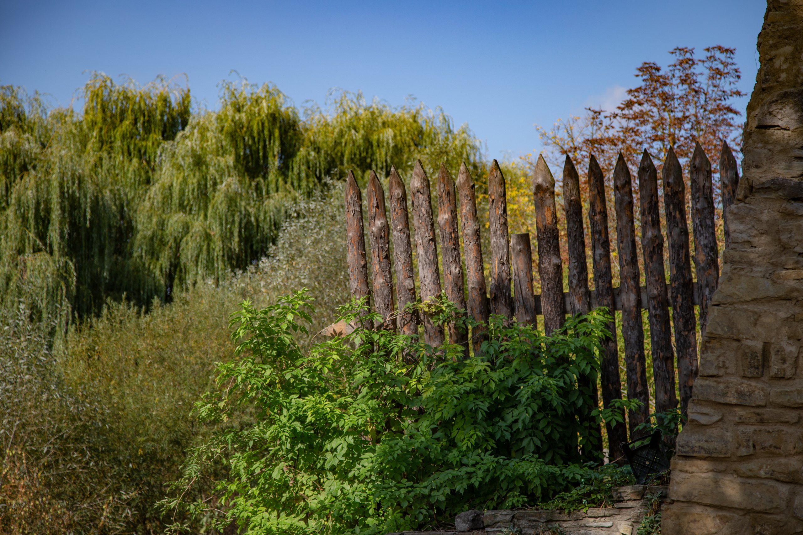 Фотографии Каменец-Подольский. Семейный фотограф Великодолинское