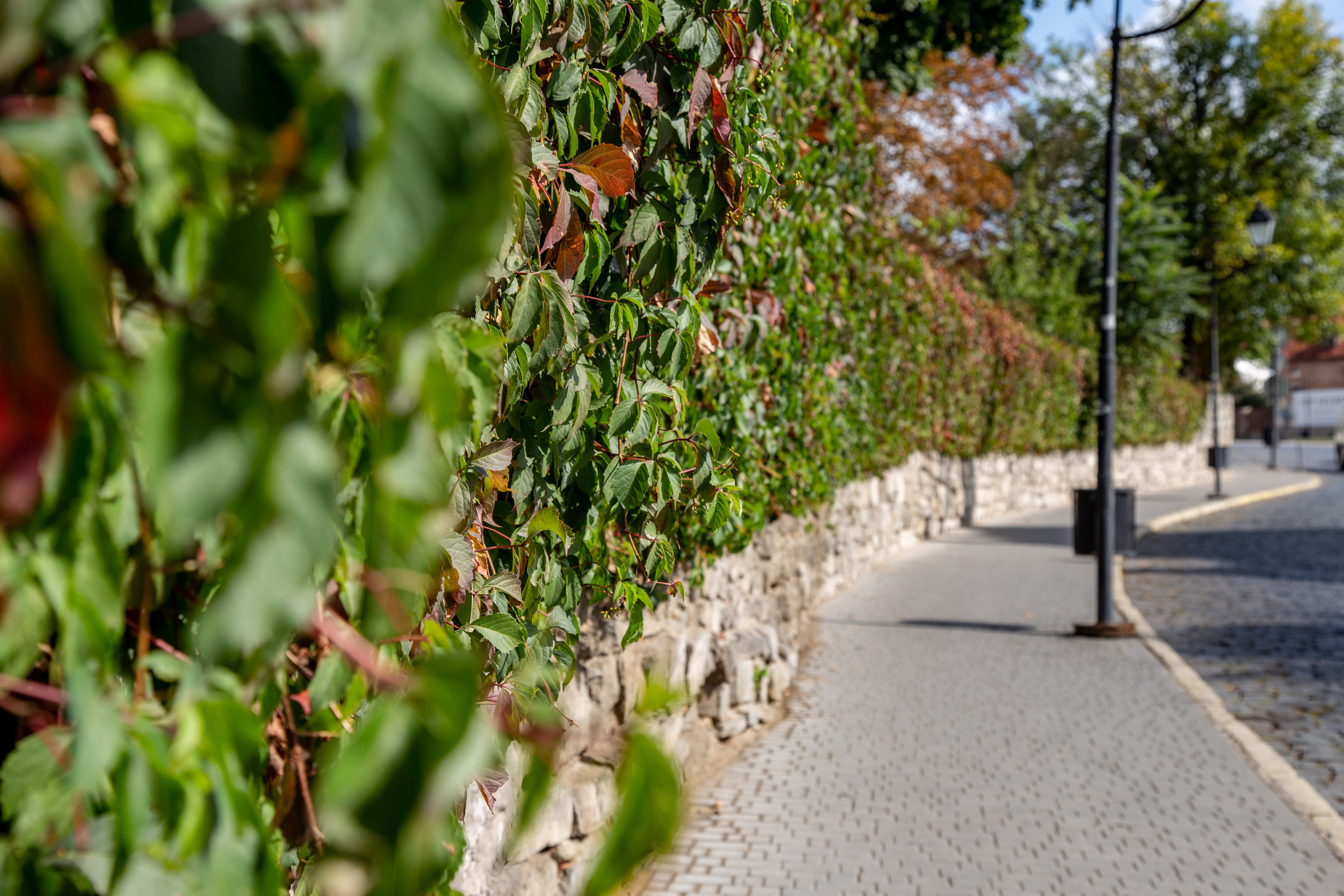 Фотографии Каменец-Подольский. Семейный фотограф Великодолинское