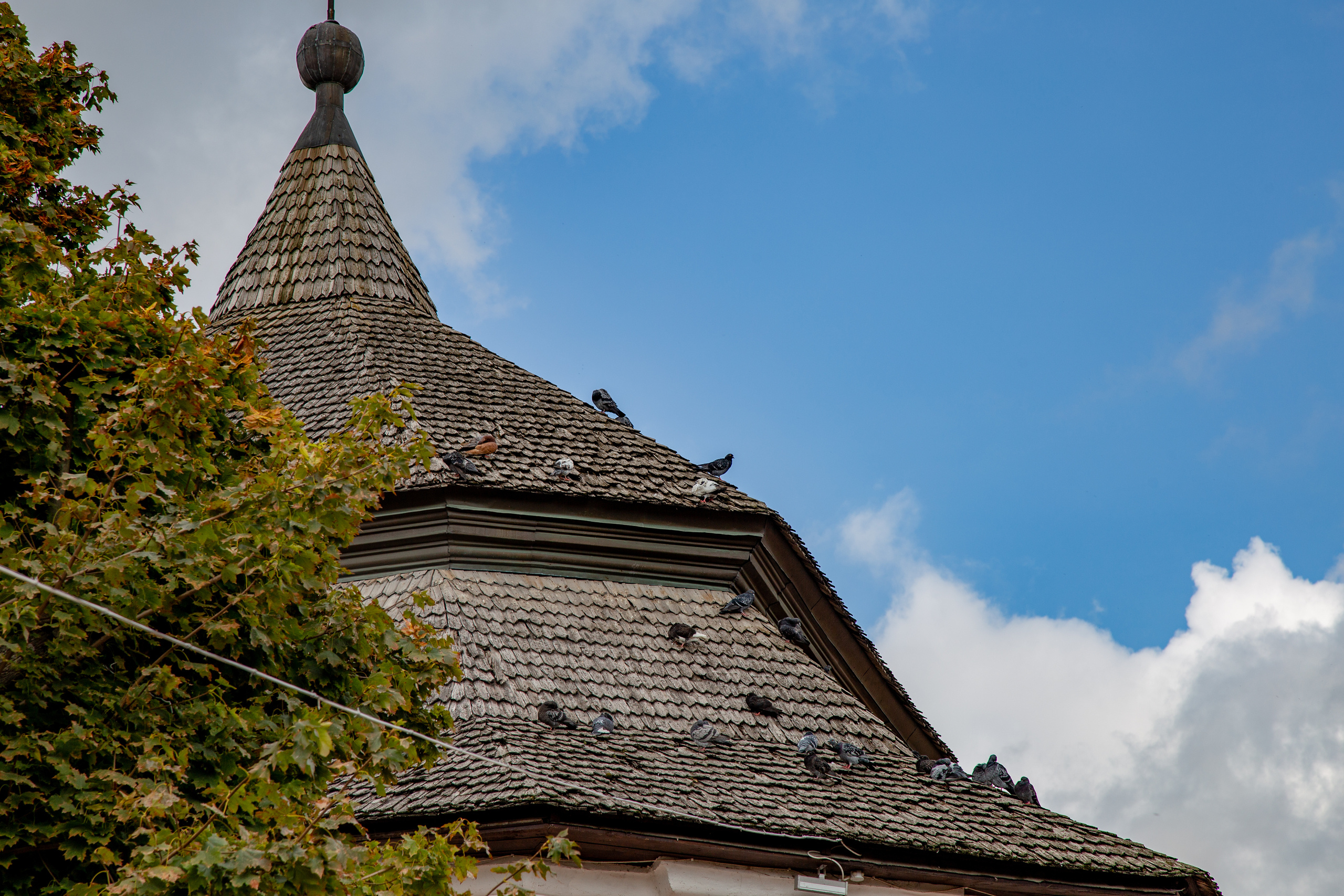 Фотографии Каменец-Подольский. Семейный фотограф Великодолинское