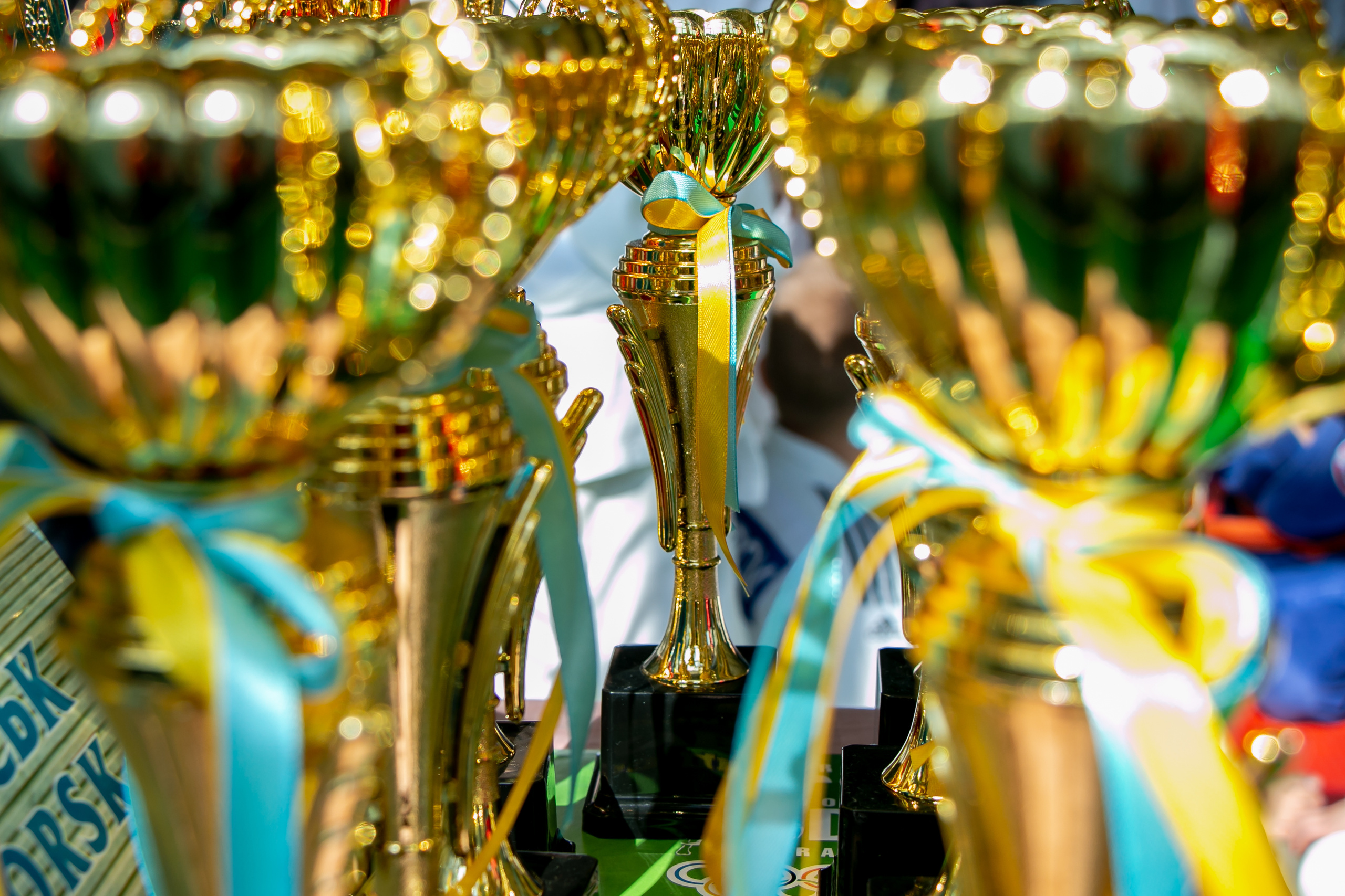 Дзюдо. Спортивный репортаж. Семейный фотограф Великодолинское