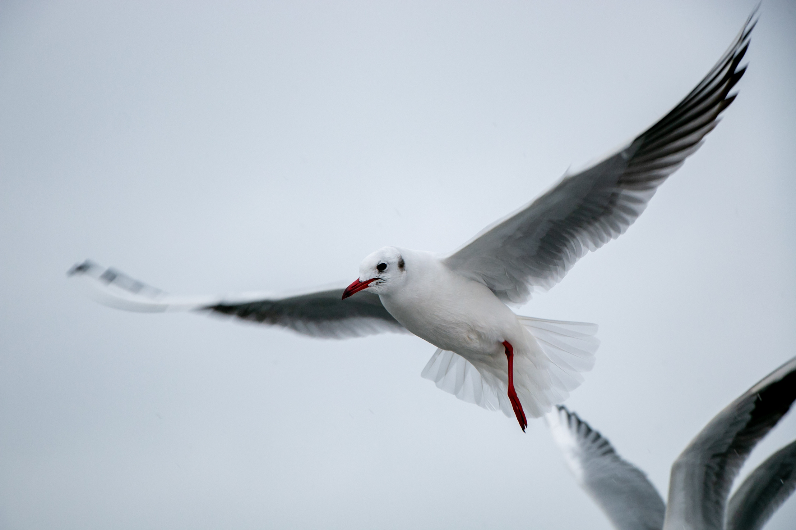 Паромная переправа. Семейный фотограф Великодолинское