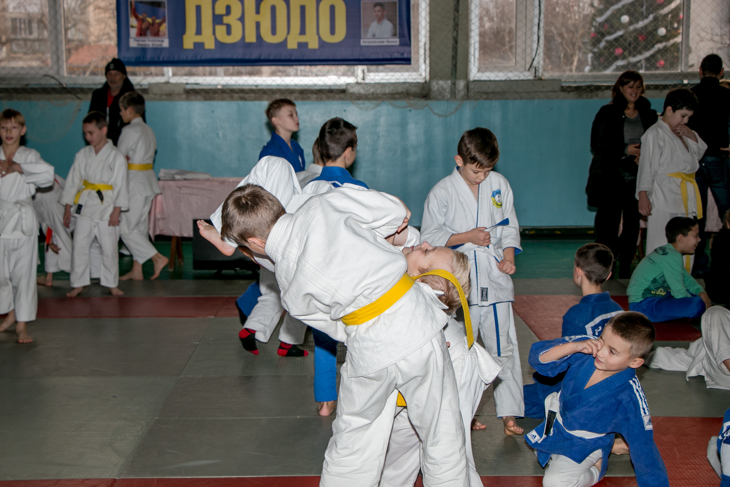 ДЗЮДО. Черноморск. Семейный фотограф Великодолинское