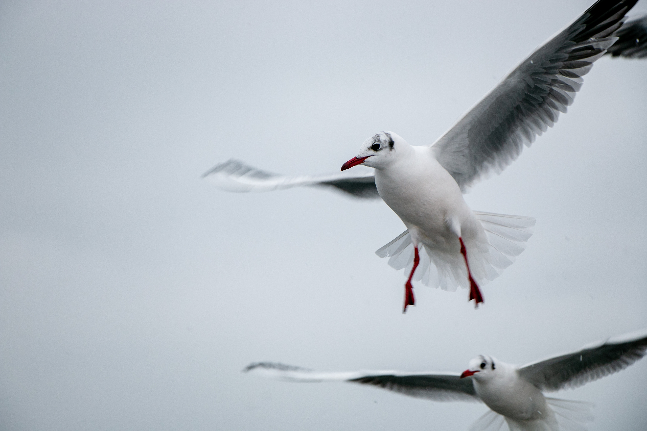 Паромная переправа. Семейный фотограф Великодолинское