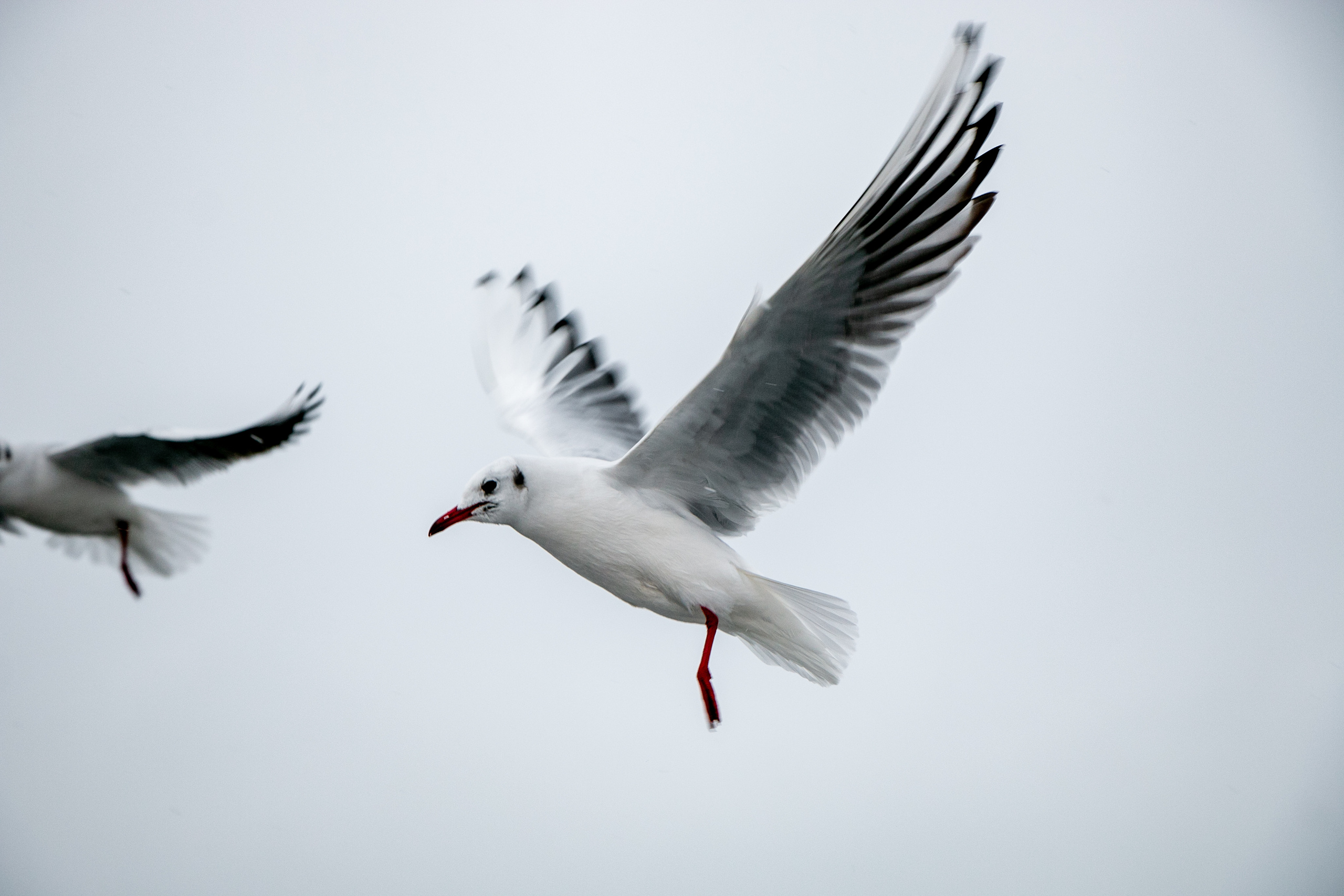 Паромная переправа. Семейный фотограф Великодолинское