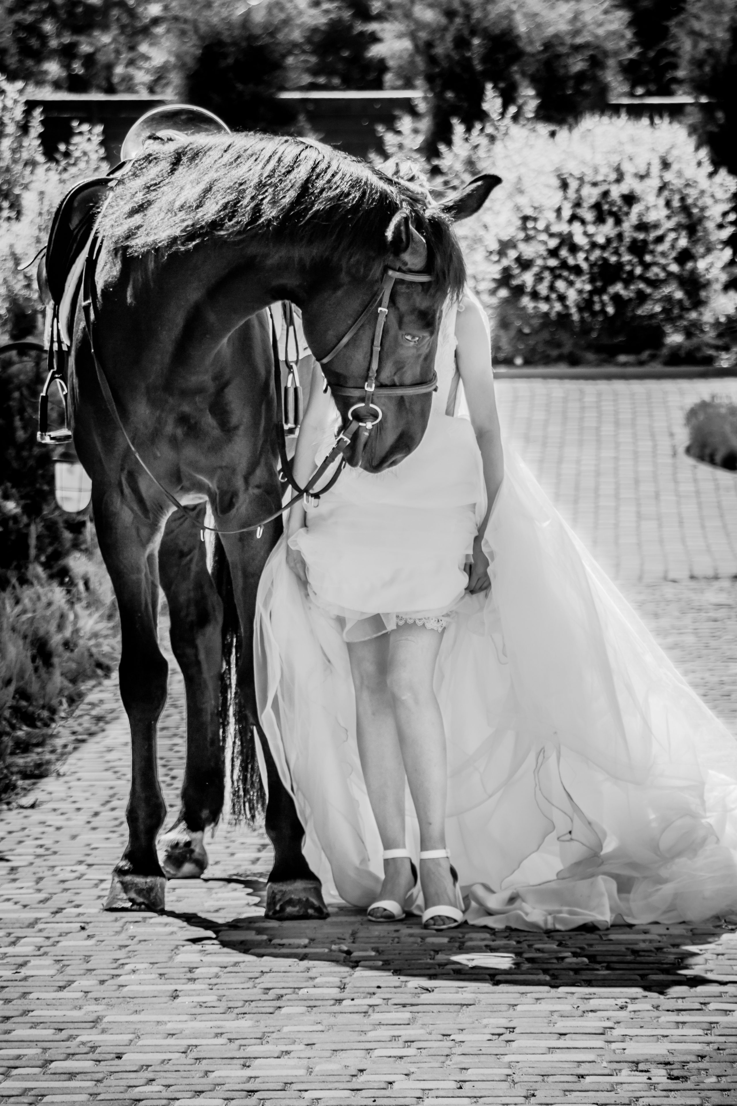 Свадебные фотографии. Семейный фотограф Великодолинское