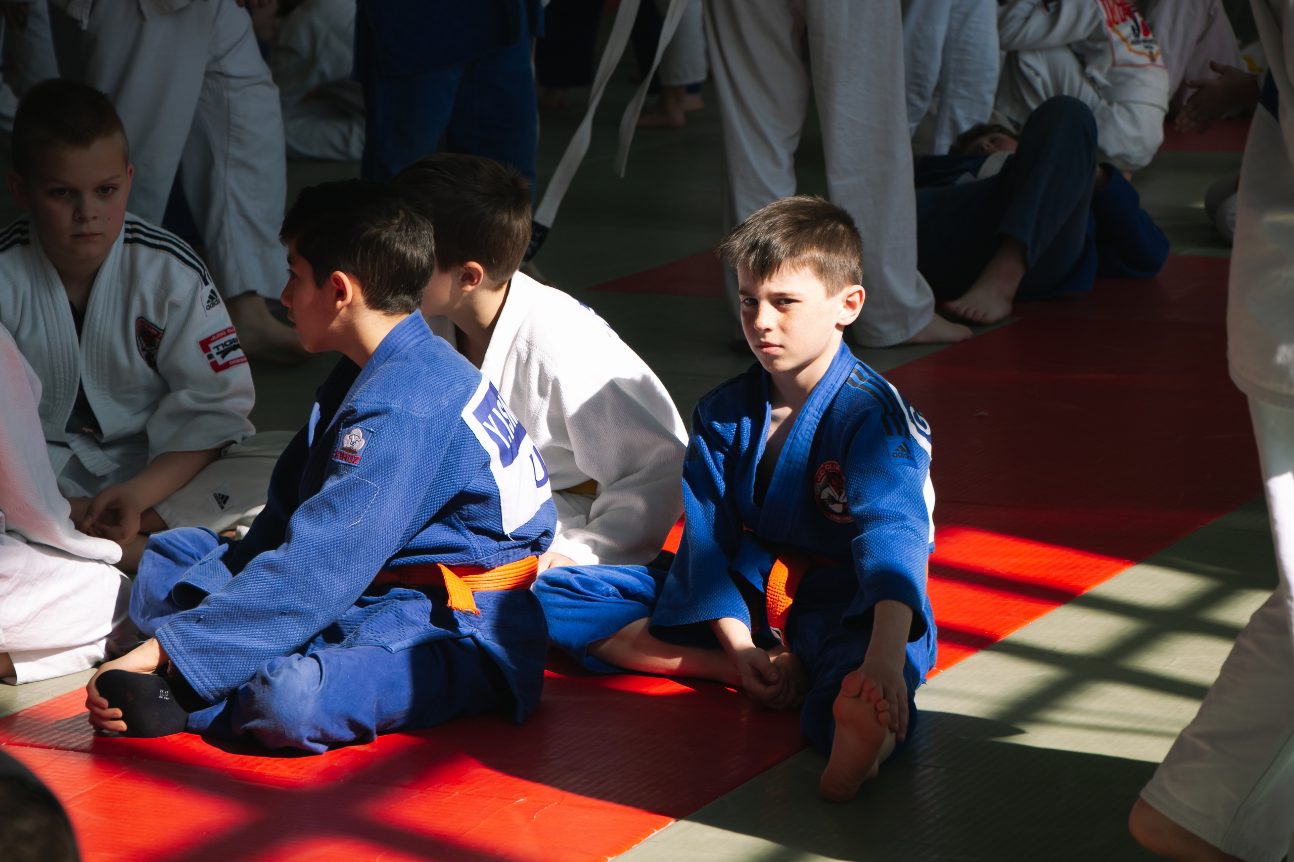 Дзюдо. Спортивный репортаж. Семейный фотограф Великодолинское