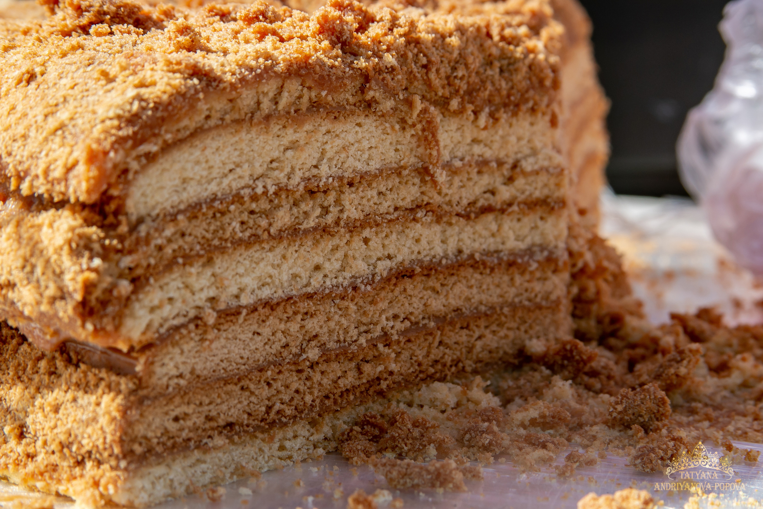 Масленица Великодолинское. Семейный фотограф Великодолинское