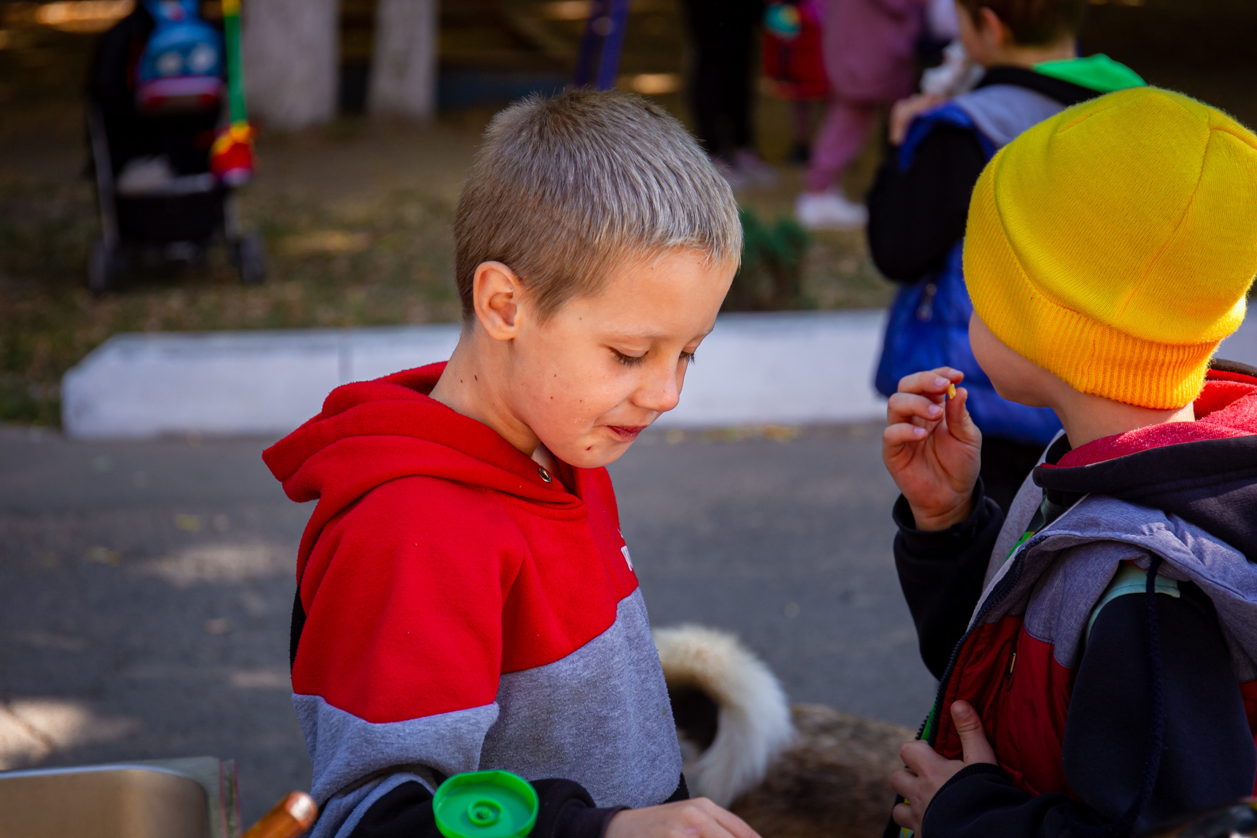 Ярмарка. Семейный фотограф Великодолинское