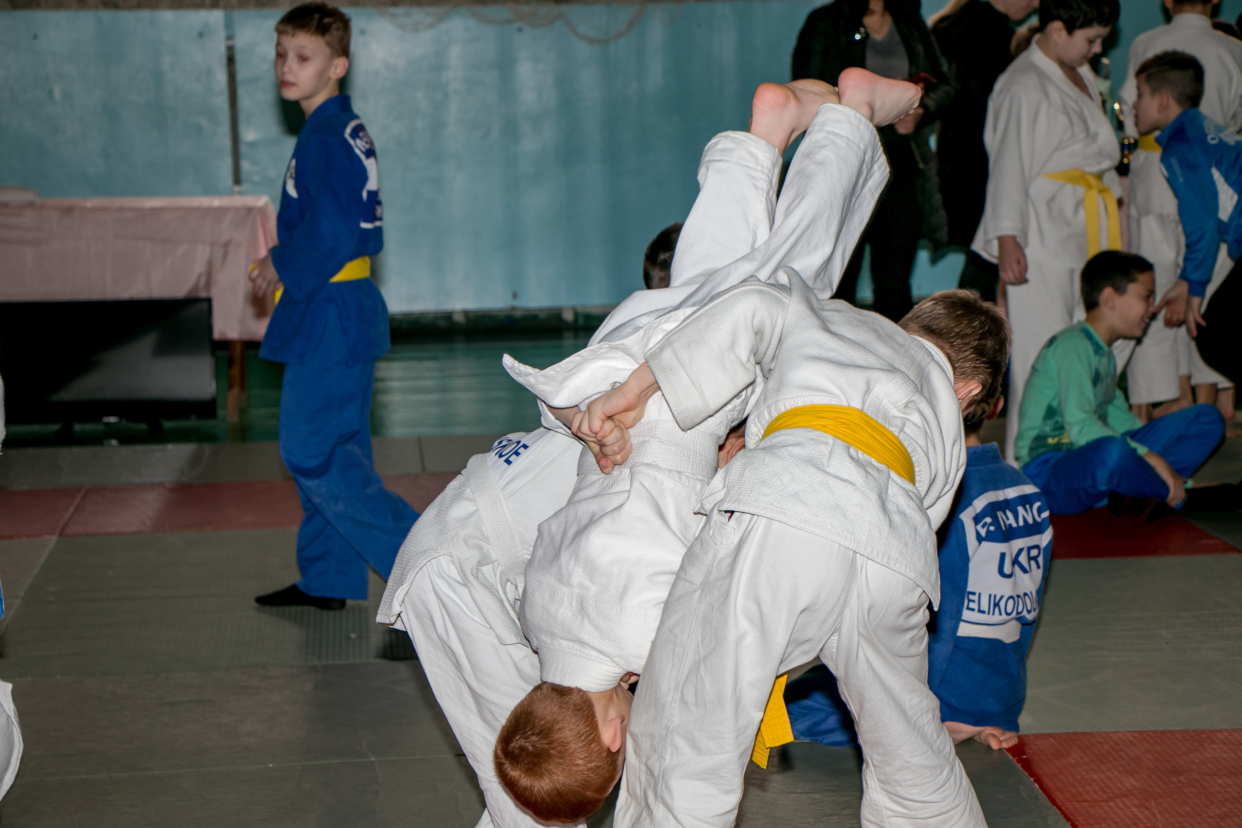 ДЗЮДО. Черноморск. Семейный фотограф Великодолинское