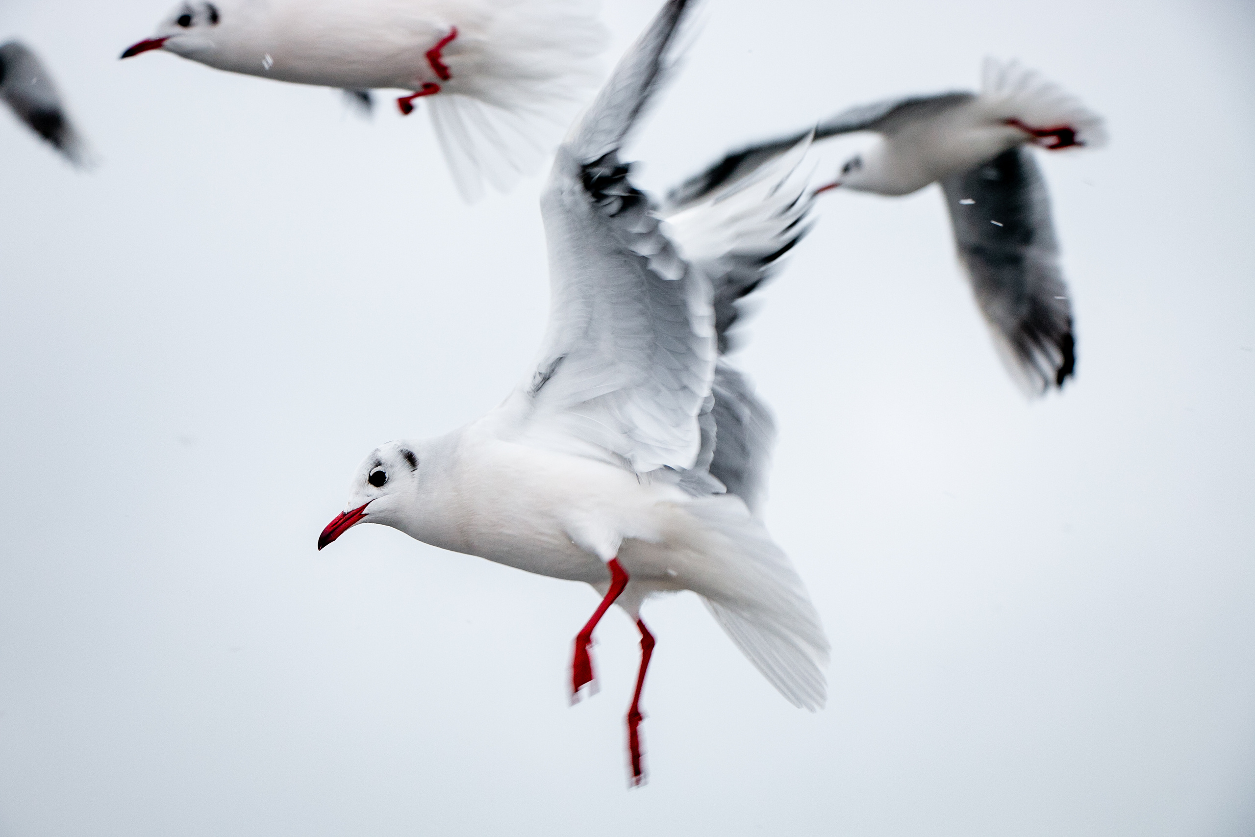 Паромная переправа. Семейный фотограф Великодолинское