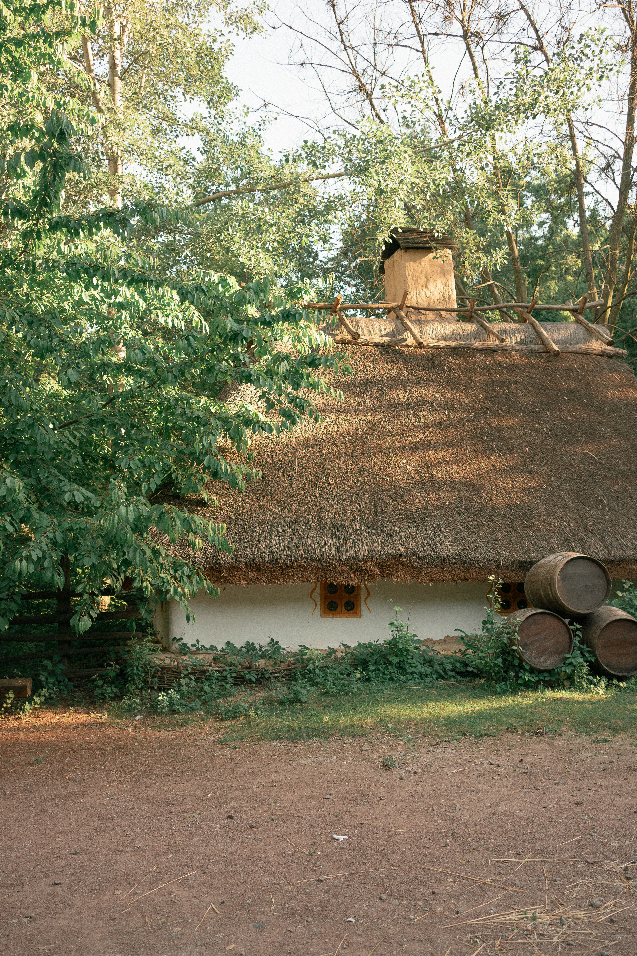 Вечорниці. Фотограф Софіївська Борщагівка Софиевская Борщаговка Колода Олена