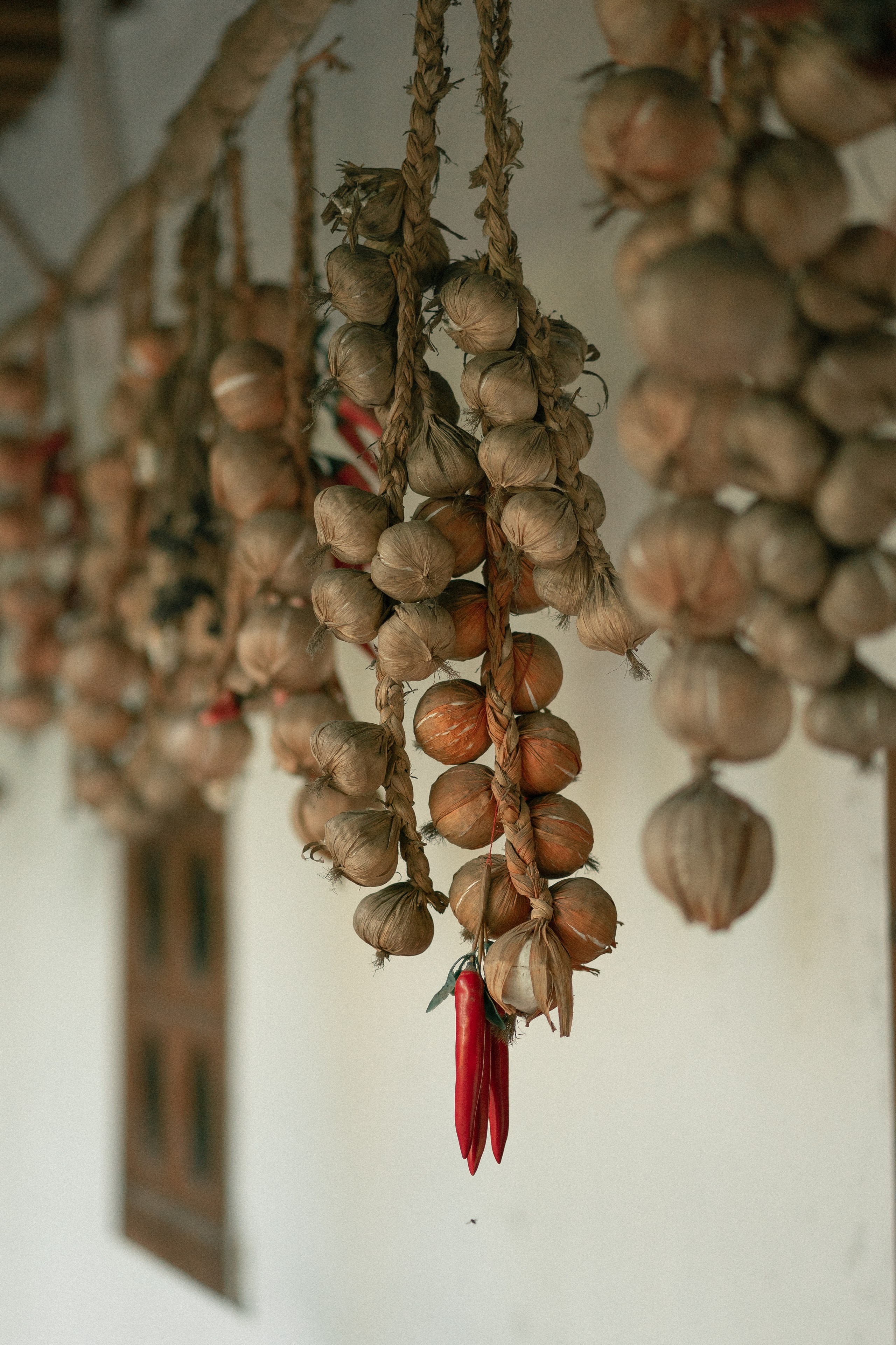 Вечорниці. Фотограф Софіївська Борщагівка Софиевская Борщаговка Колода Олена