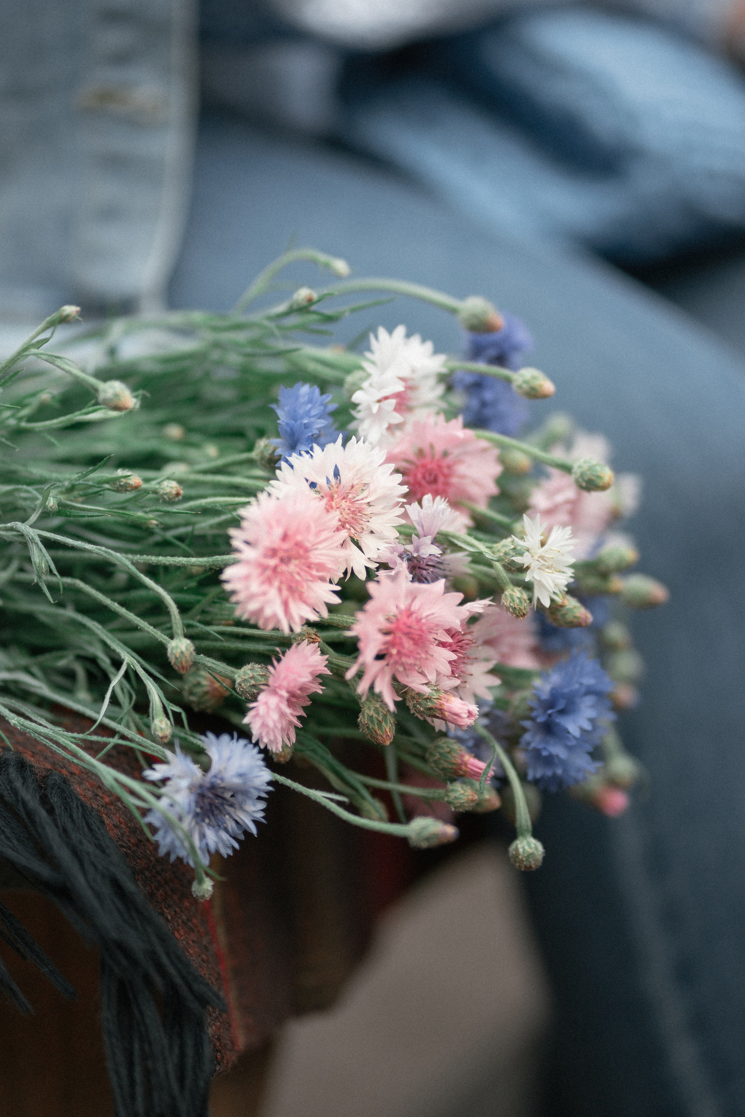 Вечорниці. Фотограф Софіївська Борщагівка Софиевская Борщаговка Колода Олена