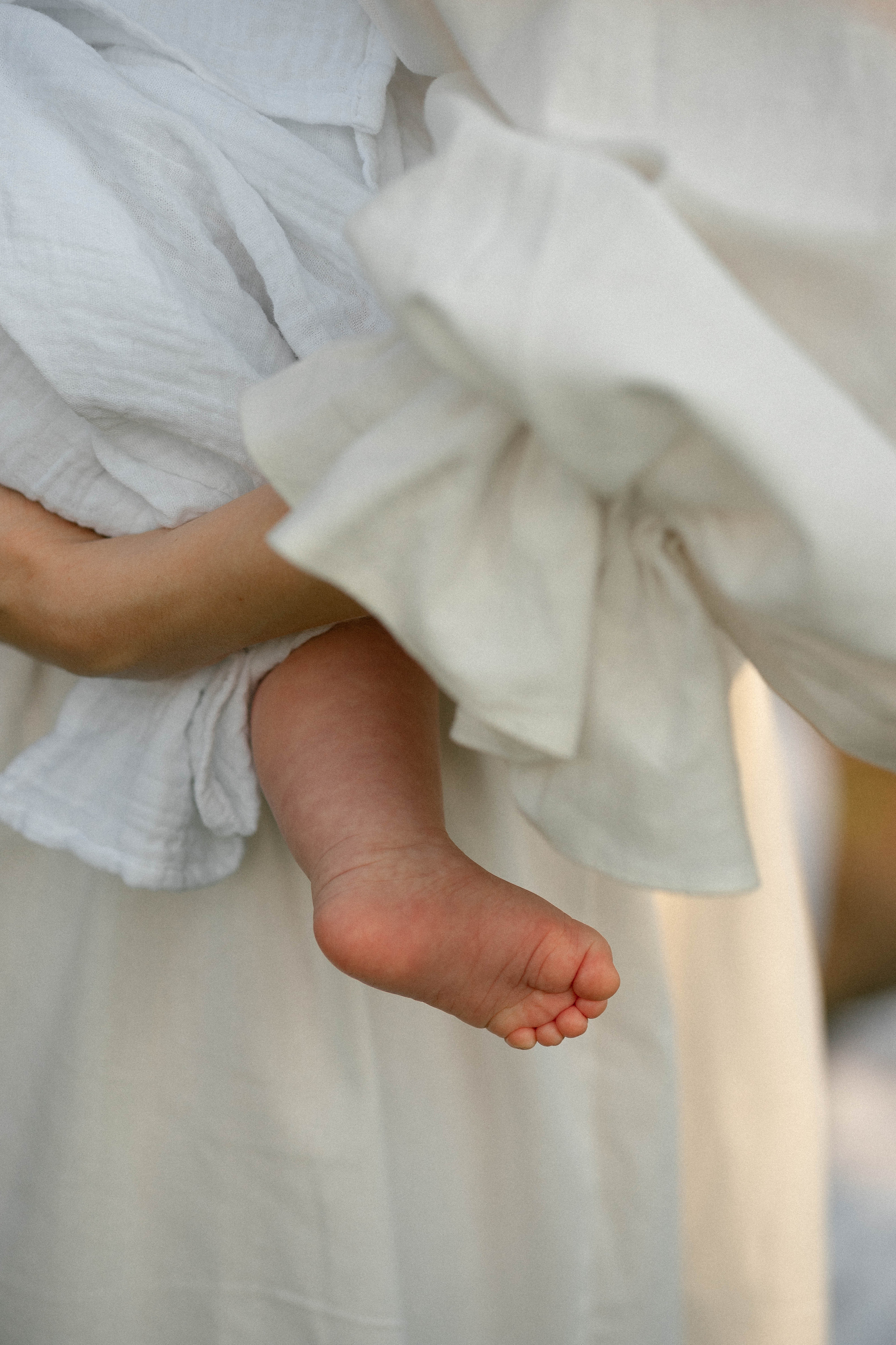 Сергій, Тетяна та Олександра. Фотограф Софіївська Борщагівка Софиевская Борщаговка Колода Олена