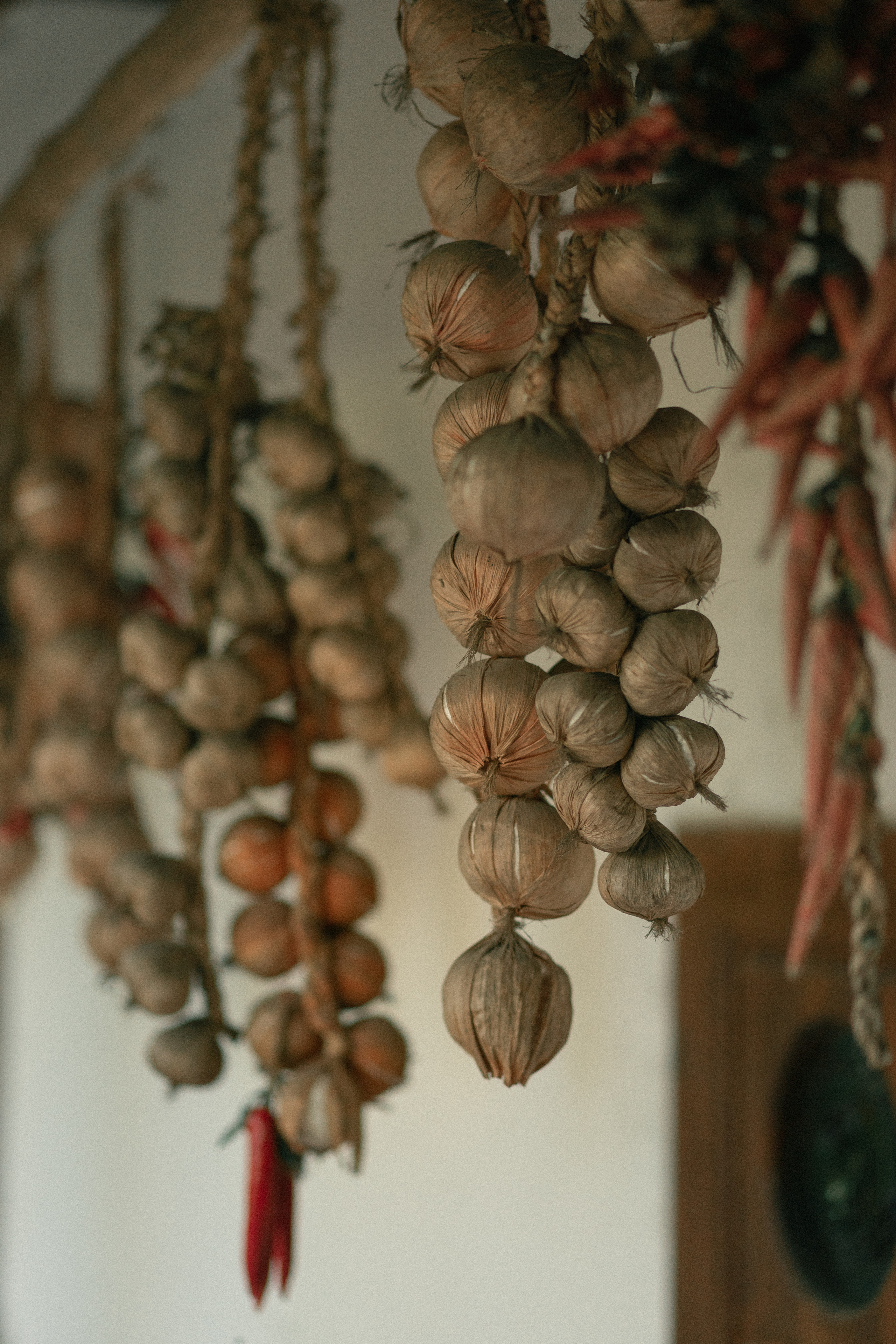 Вечорниці. Фотограф Софіївська Борщагівка Софиевская Борщаговка Колода Олена