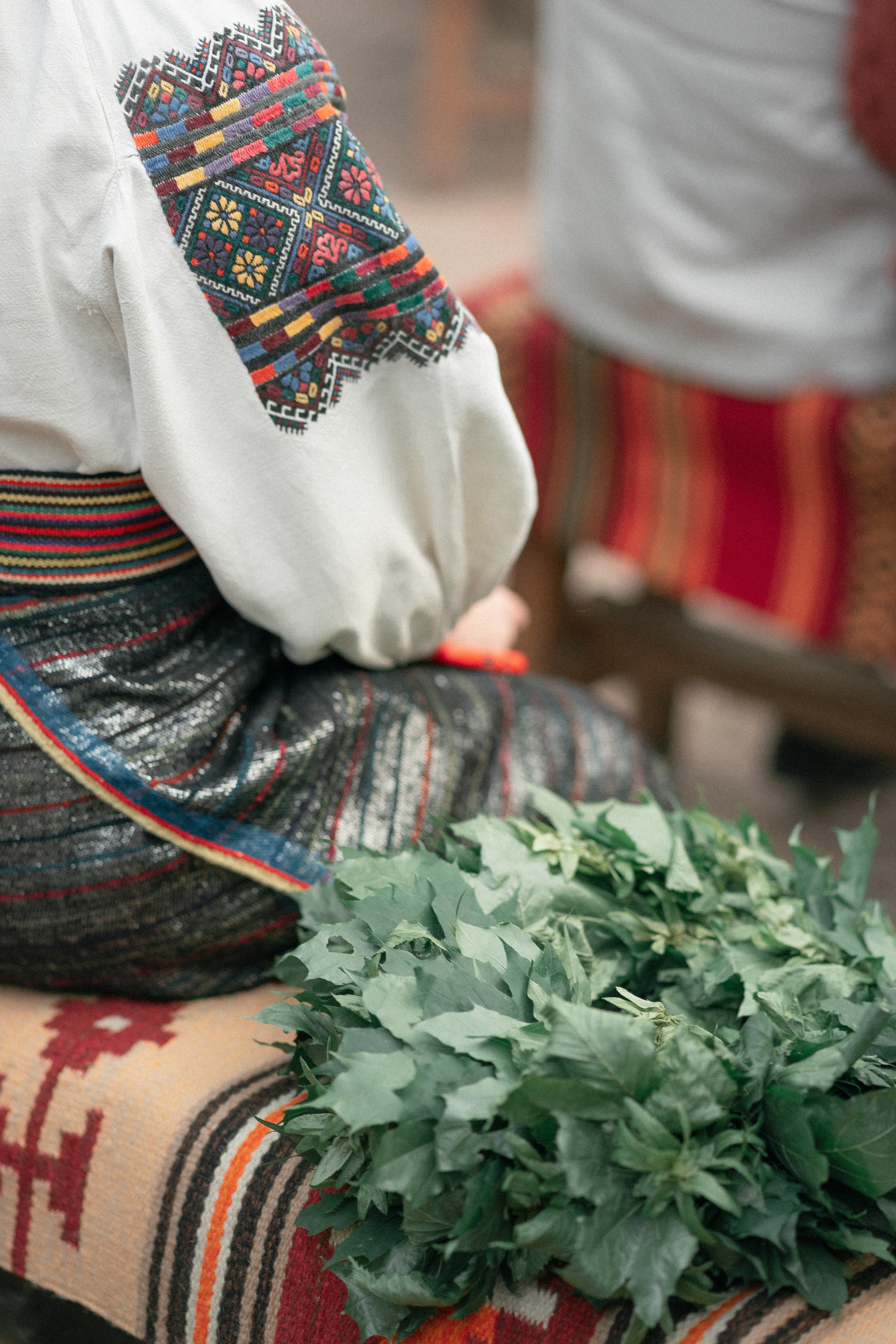 Вечорниці. Фотограф Софіївська Борщагівка Софиевская Борщаговка Колода Олена