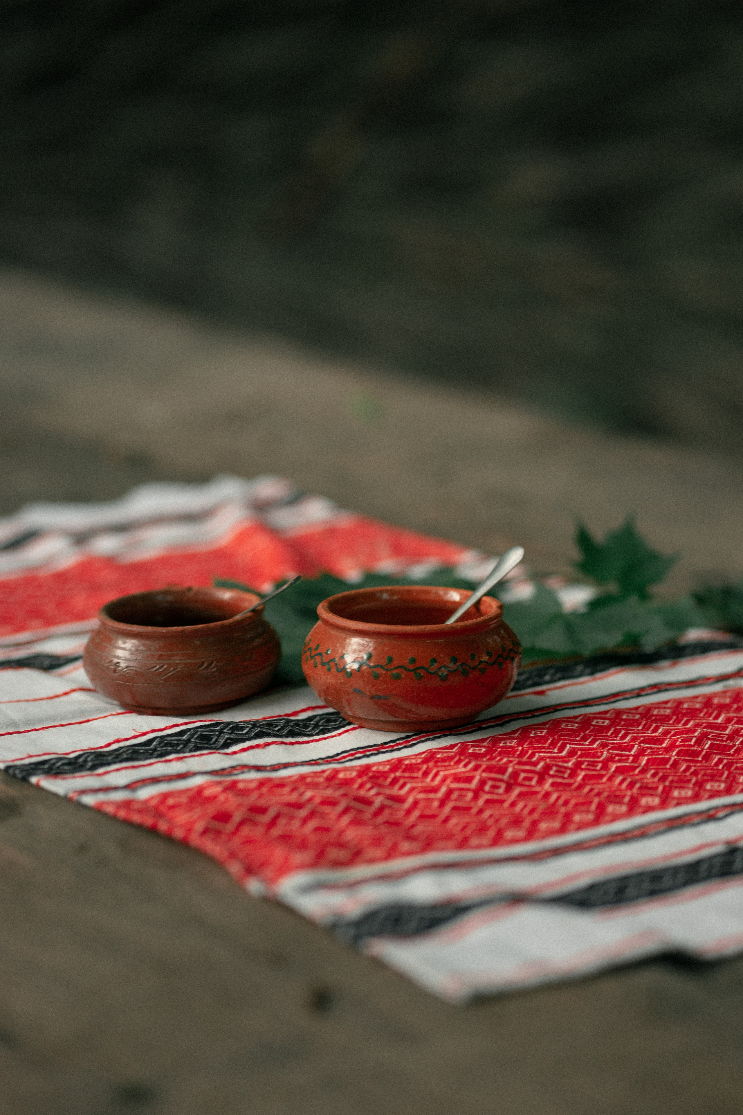 Вечорниці. Фотограф Софіївська Борщагівка Софиевская Борщаговка Колода Олена