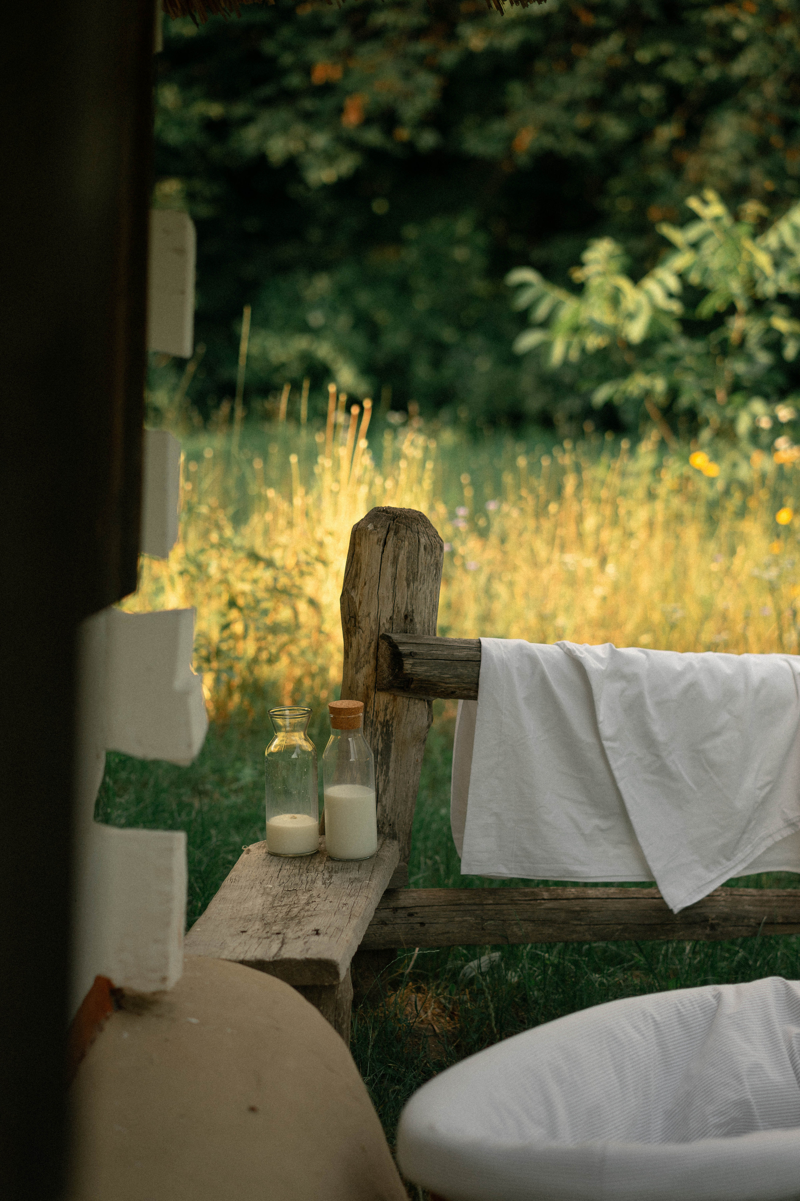 Сергій, Тетяна та Олександра. Фотограф Софіївська Борщагівка Софиевская Борщаговка Колода Олена