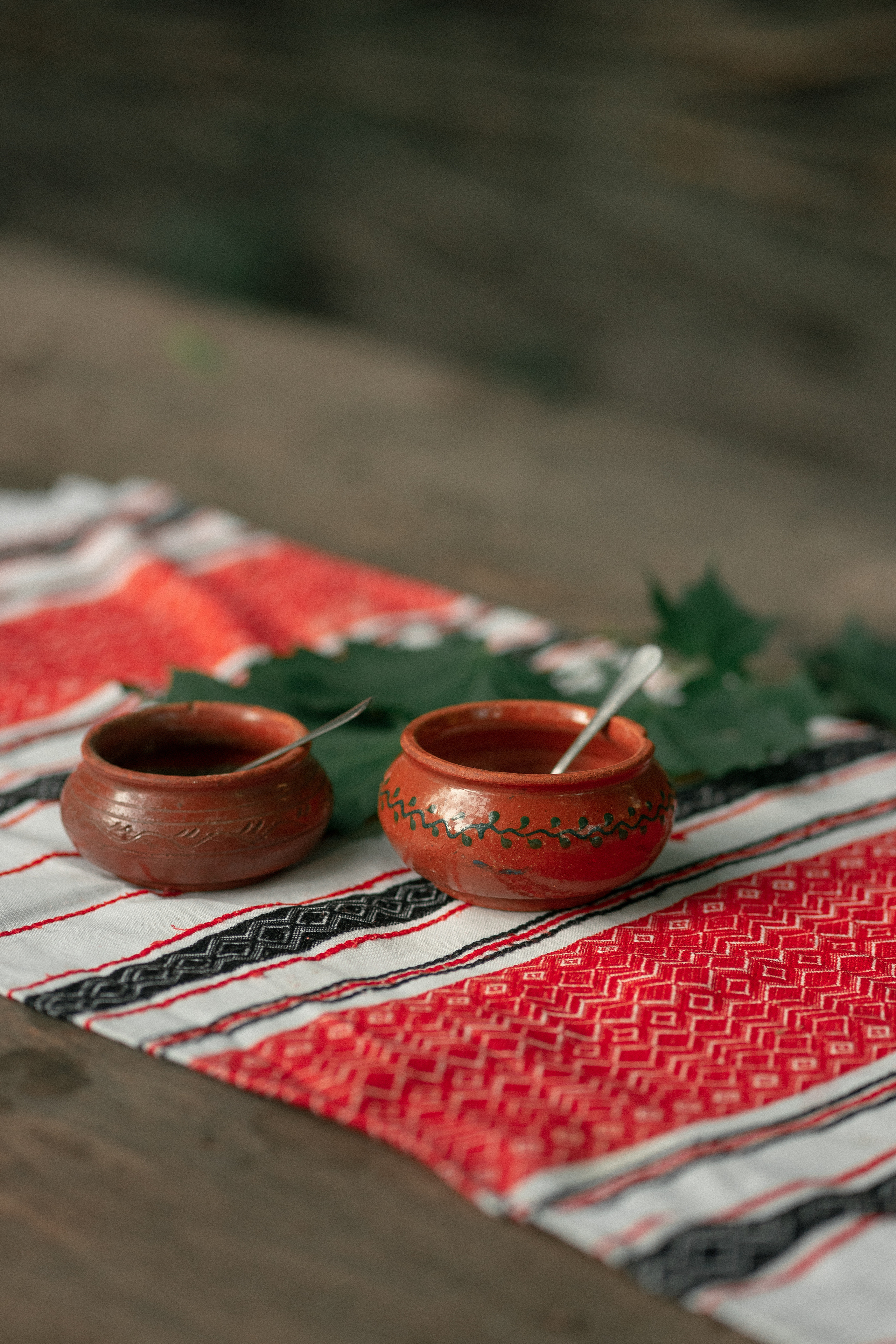 Вечорниці. Фотограф Софіївська Борщагівка Софиевская Борщаговка Колода Олена