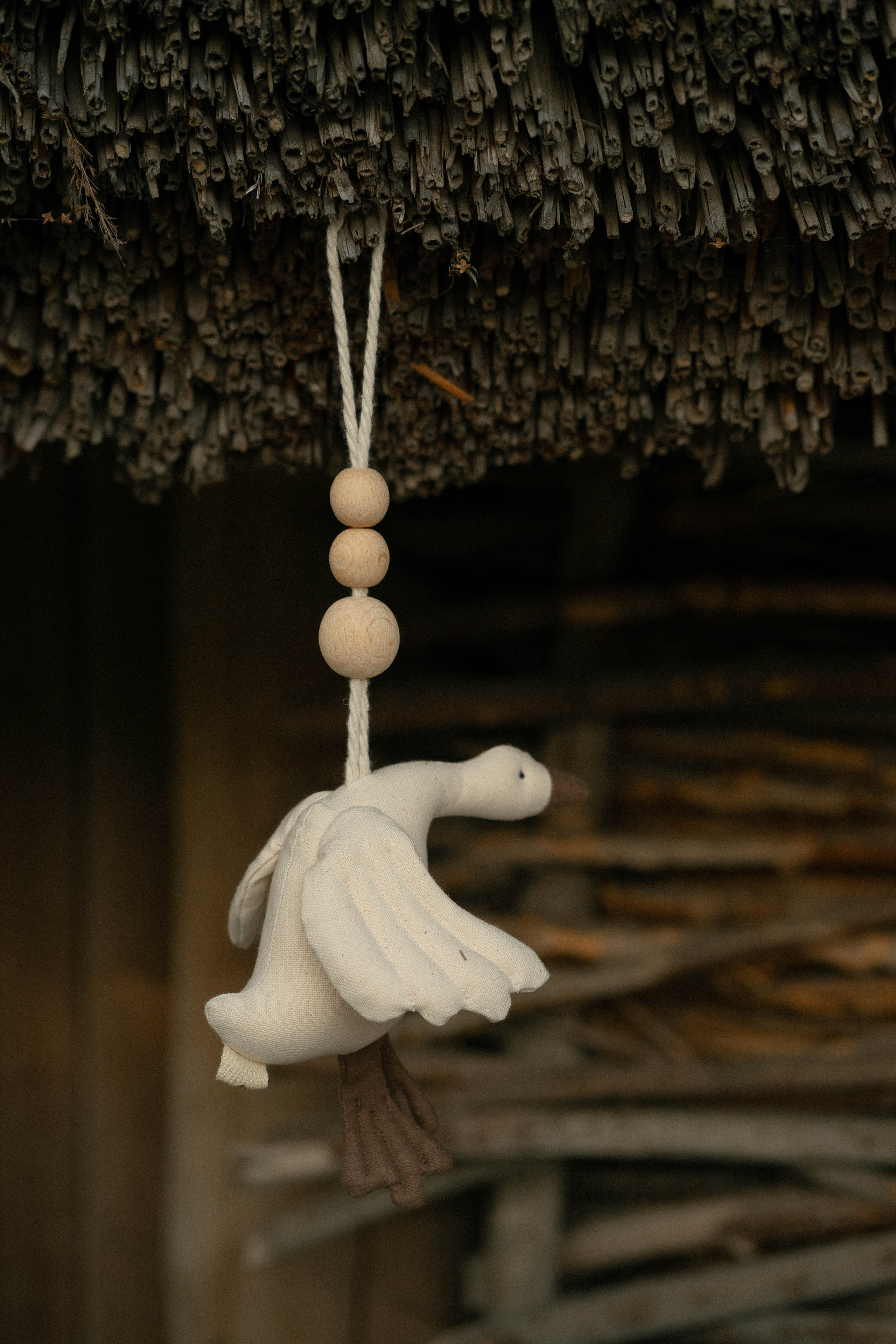 Сергій, Тетяна та Олександра. Фотограф Софіївська Борщагівка Софиевская Борщаговка Колода Олена