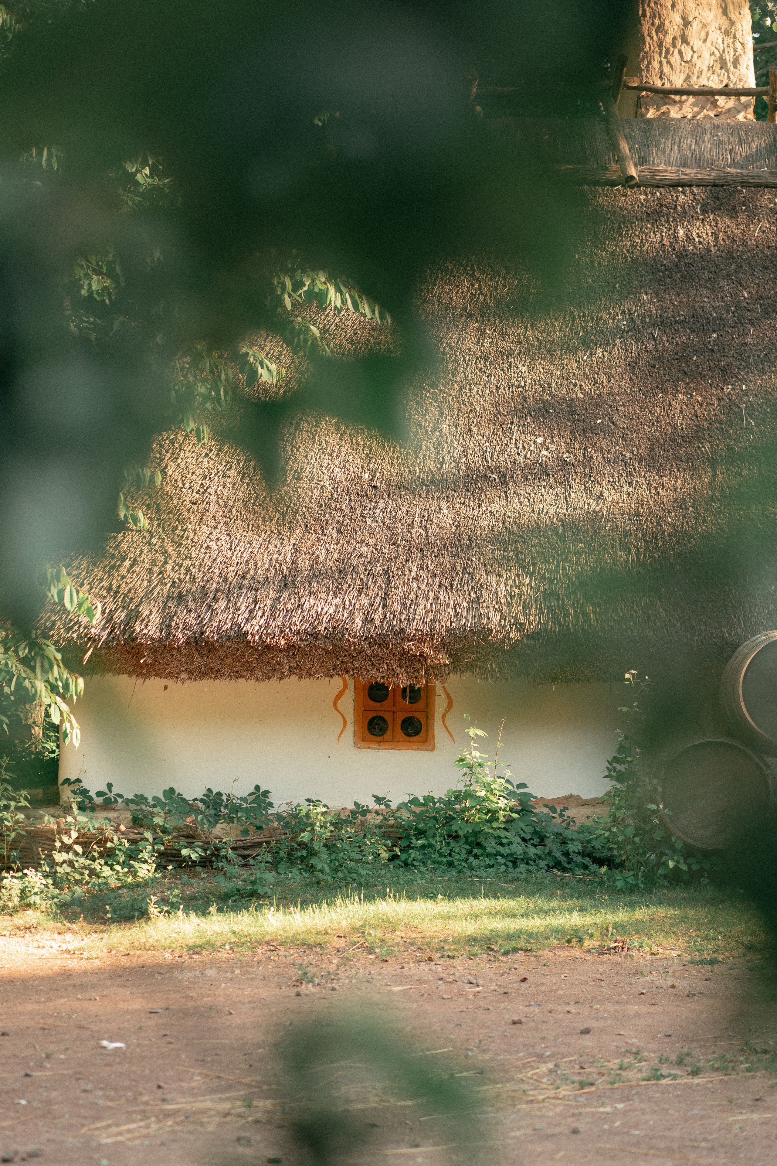 Вечорниці. Фотограф Софіївська Борщагівка Софиевская Борщаговка Колода Олена