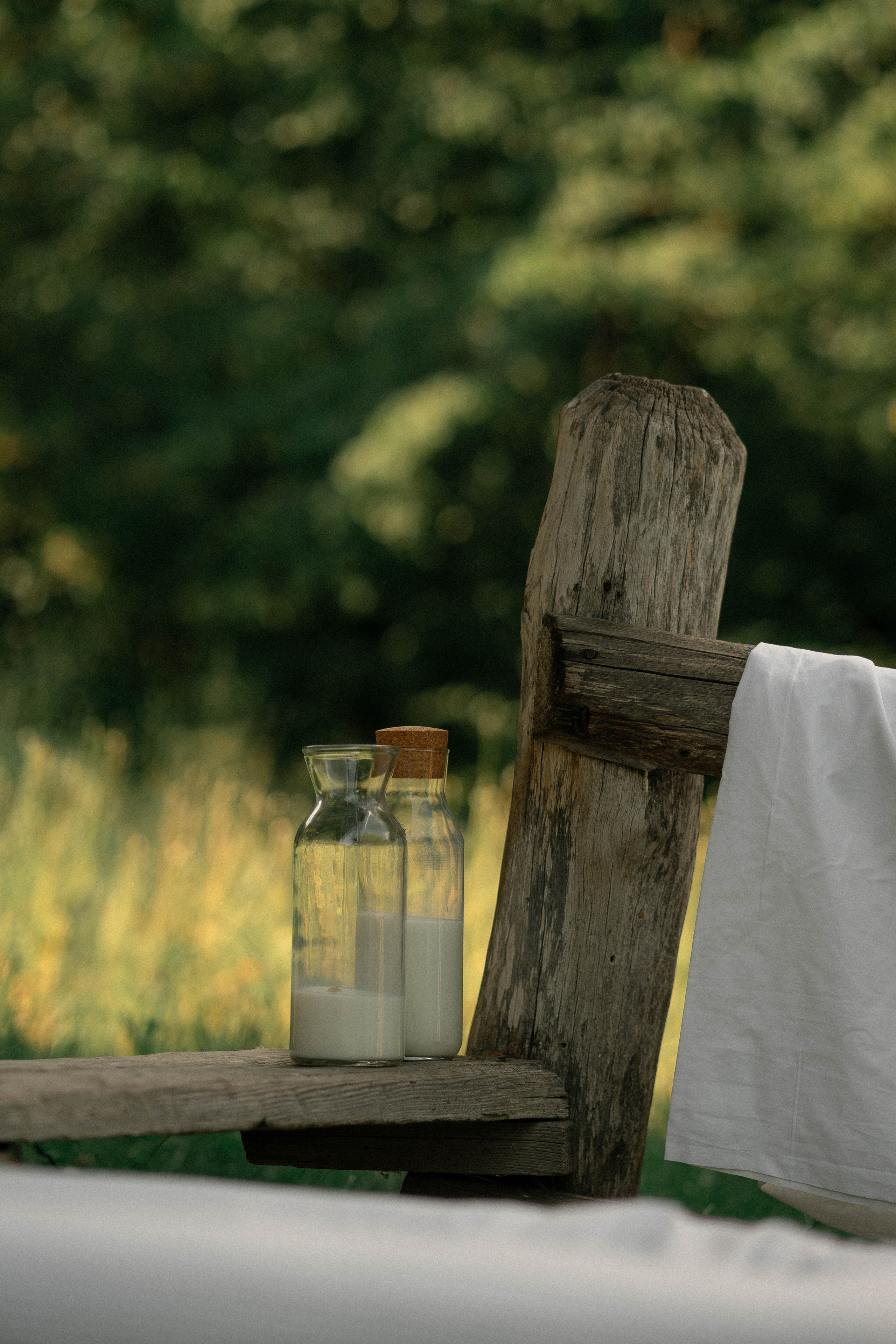 Сергій, Тетяна та Олександра. Фотограф Софіївська Борщагівка Софиевская Борщаговка Колода Олена