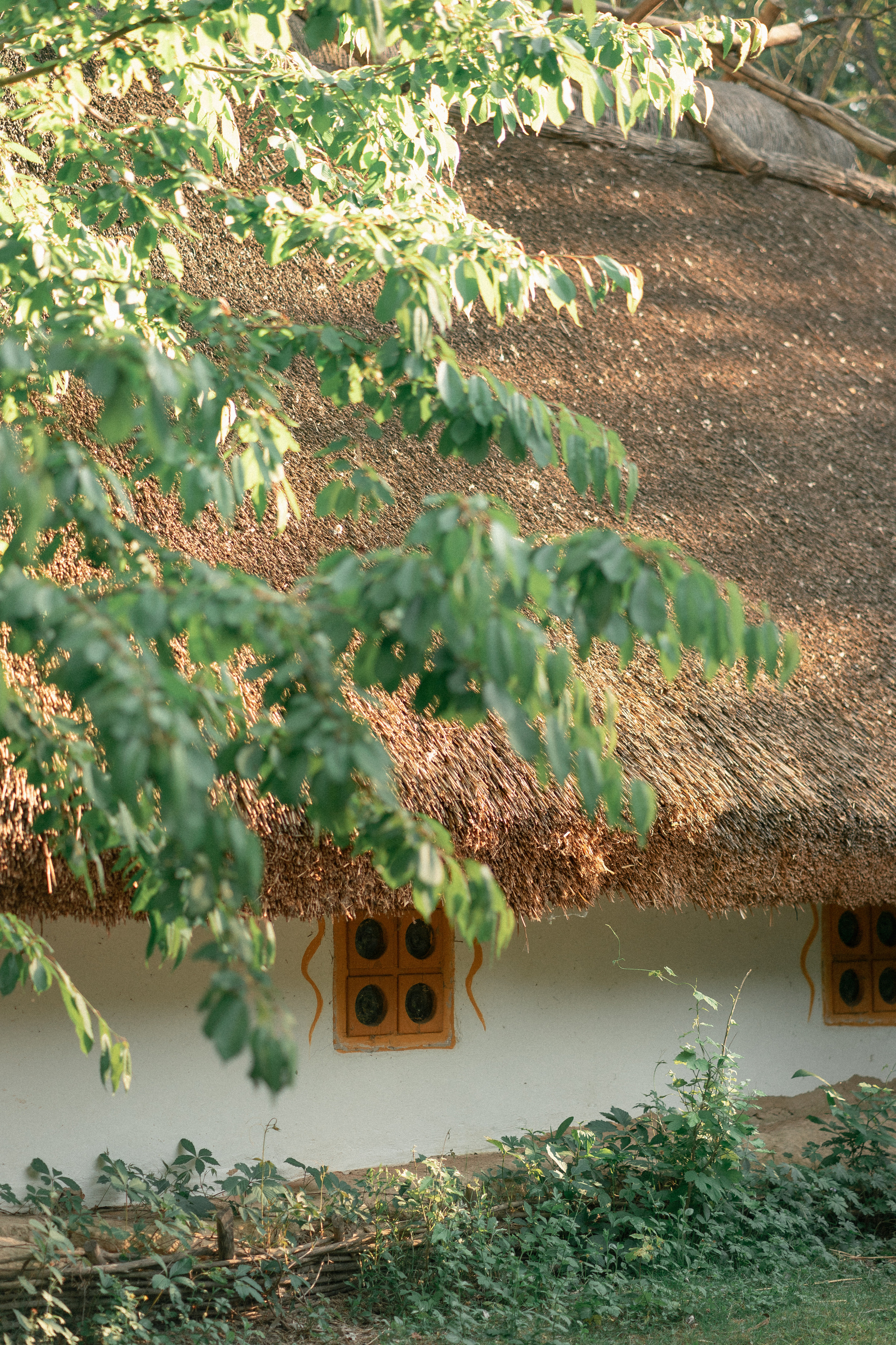 Вечорниці. Фотограф Софіївська Борщагівка Софиевская Борщаговка Колода Олена