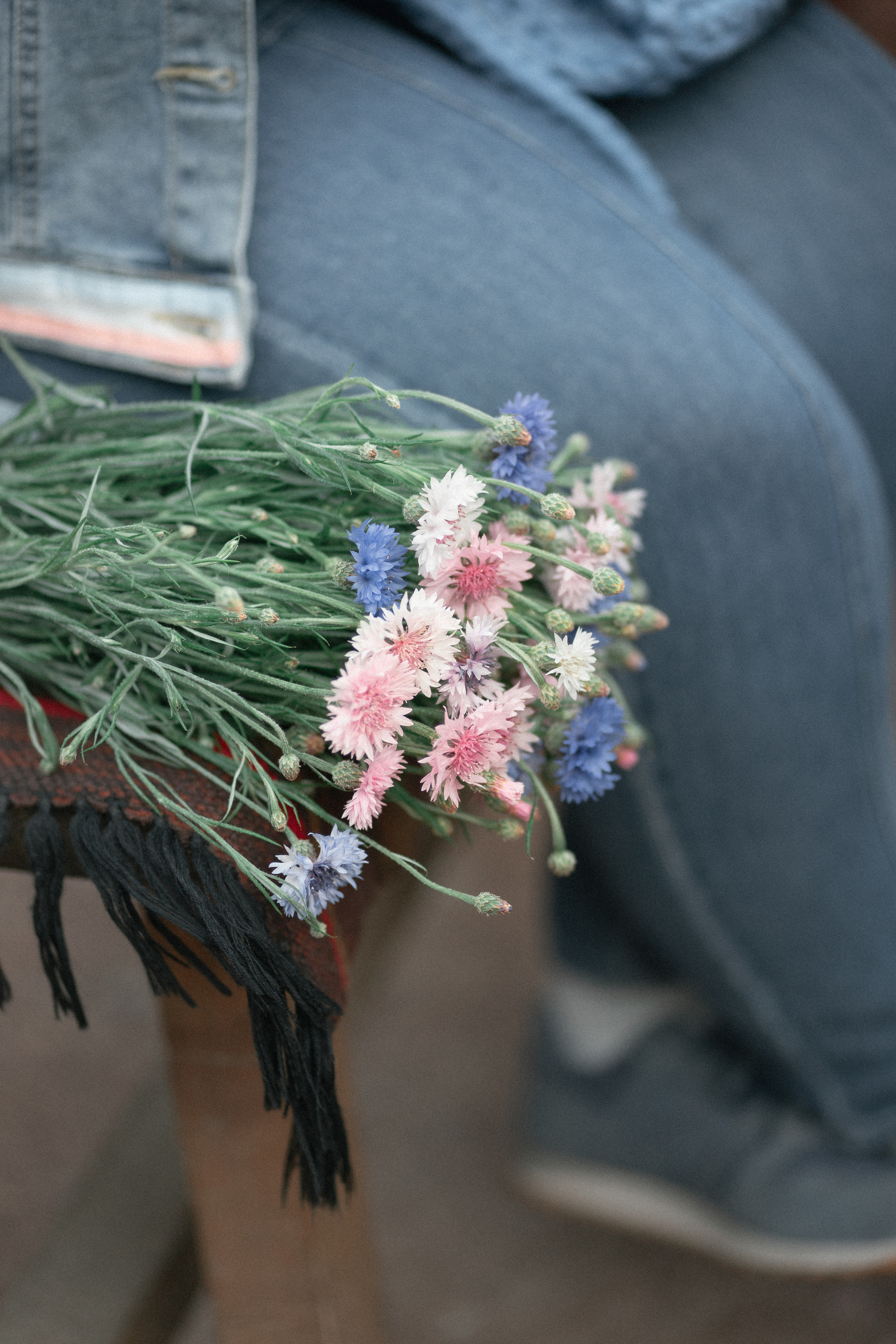 Вечорниці. Фотограф Софіївська Борщагівка Софиевская Борщаговка Колода Олена