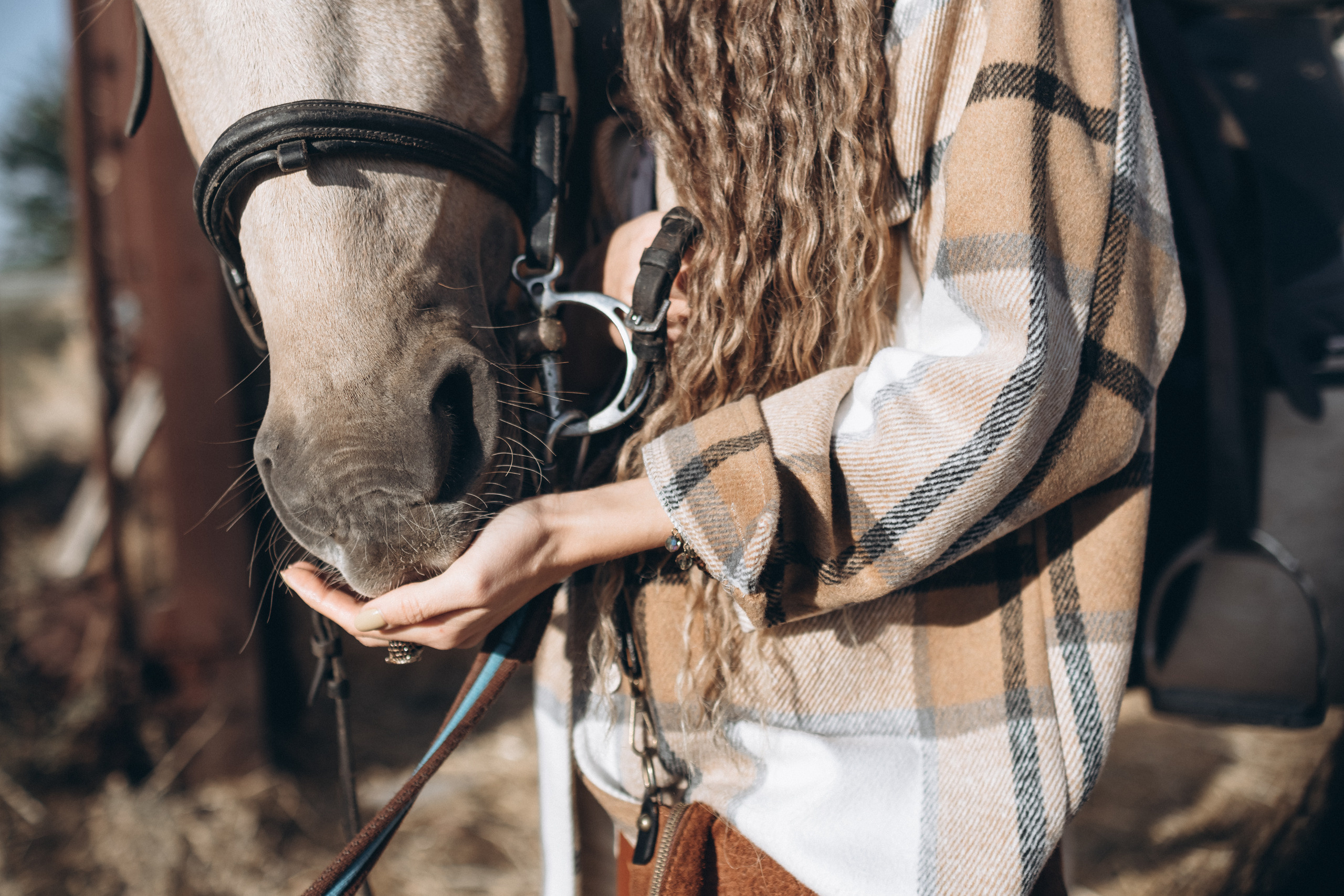 Карина на ранчо. Свадебный фотограф в Риге Руслан Федюшин