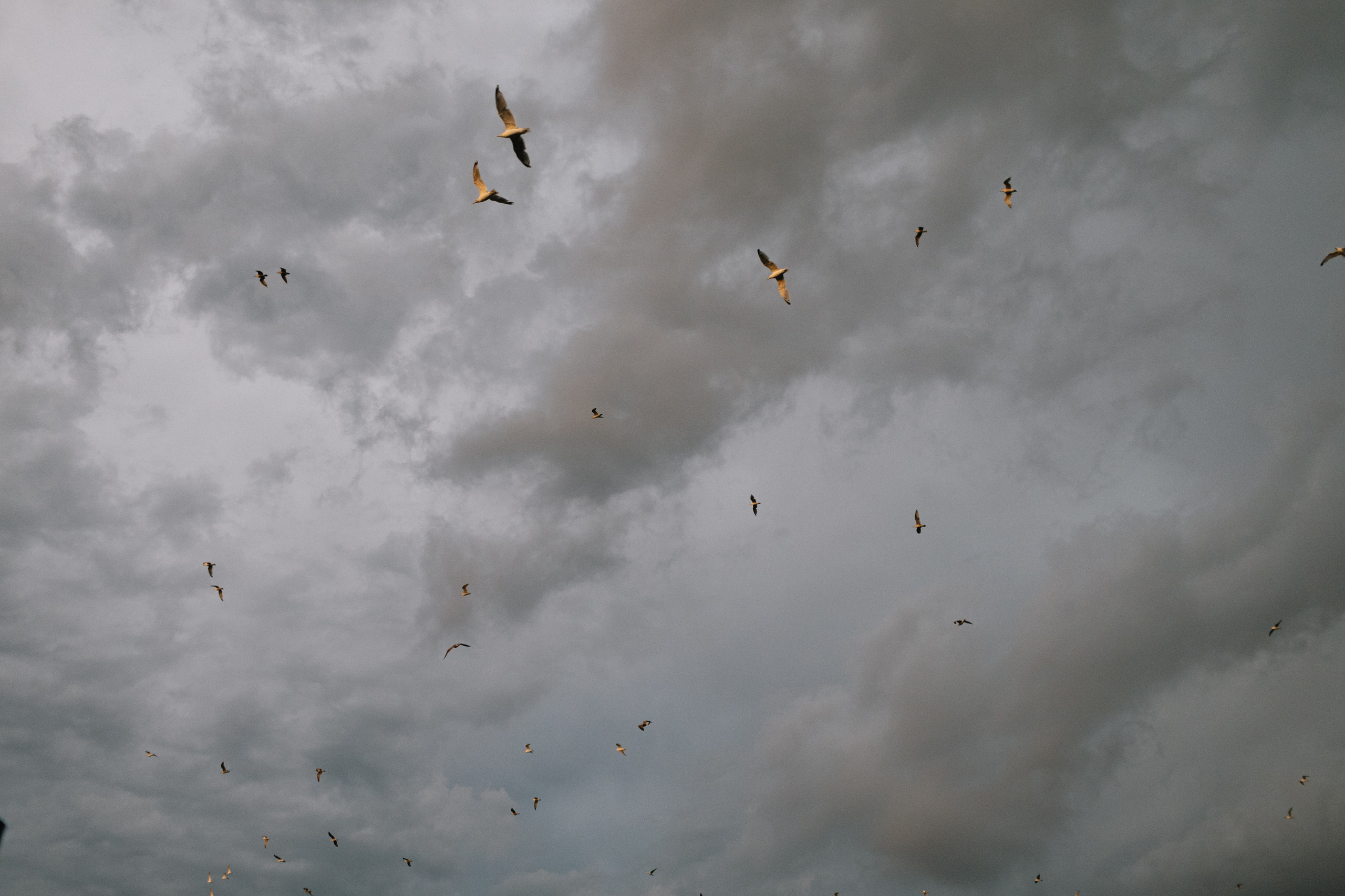 Лиза & Артур. Свадебный фотограф в Риге Руслан Федюшин