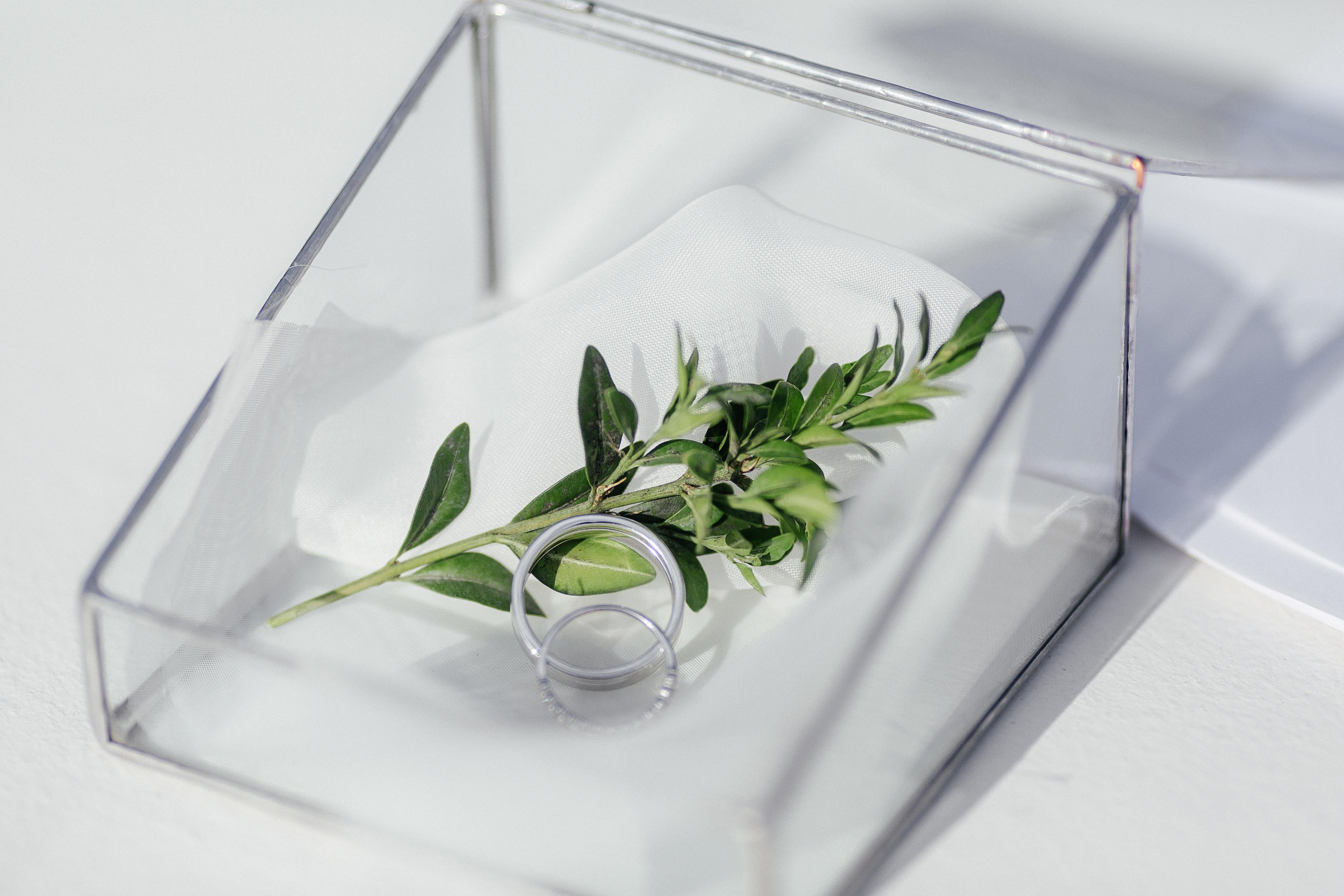 Арина и Сергей. Свадебный фотограф в Риге Руслан Федюшин